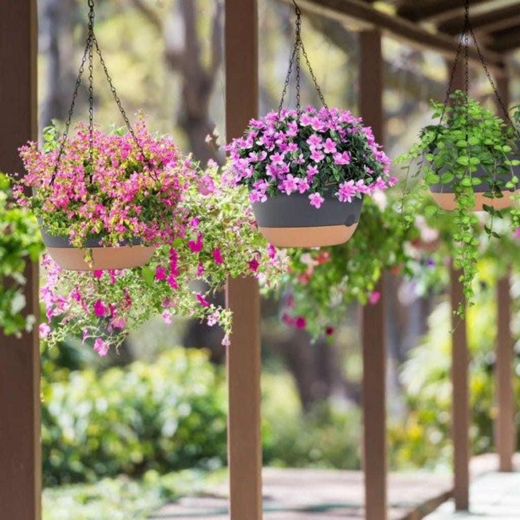 AHIOU HOME ZAAHD-HQ1YLWPP Planter-Window-Box - View #2