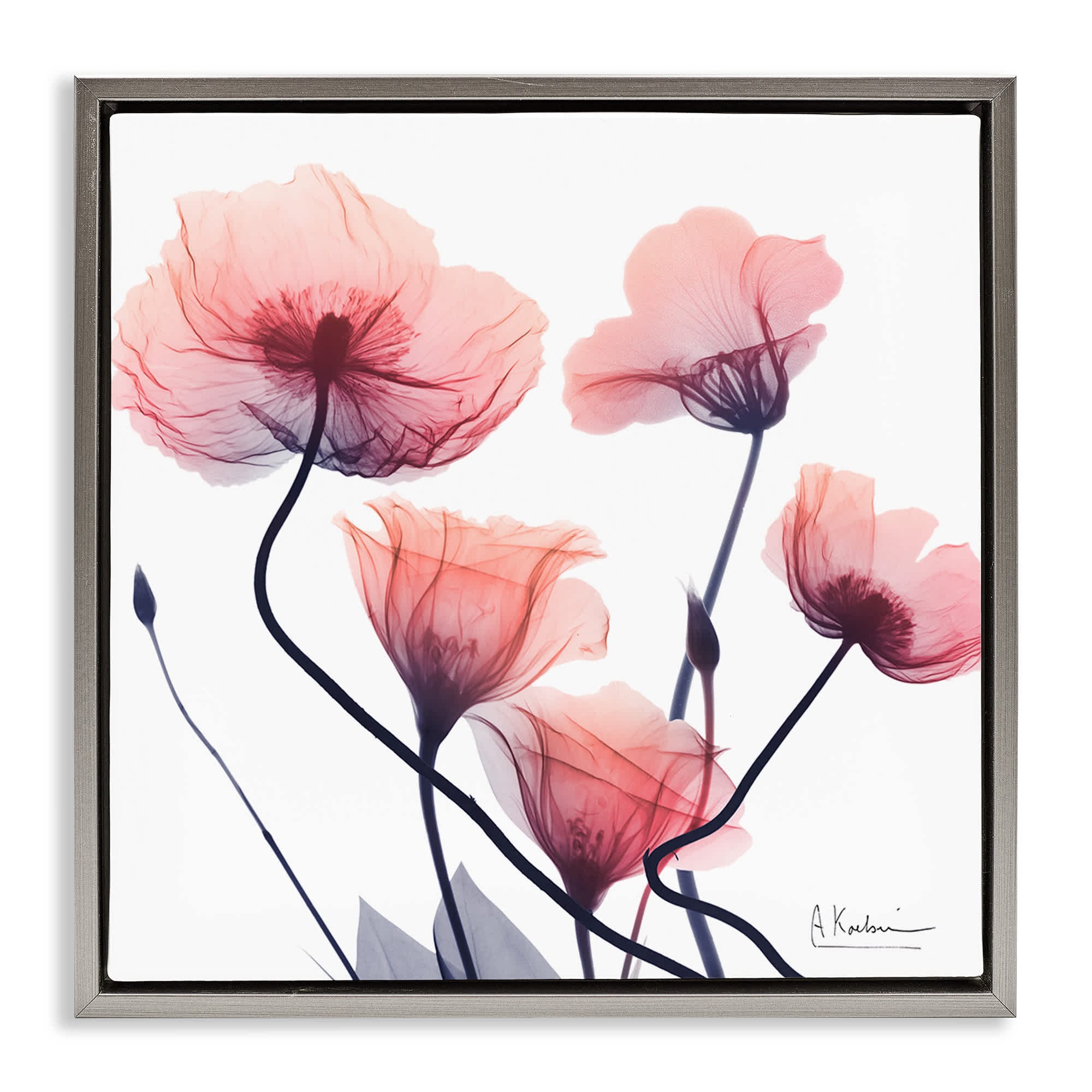 Stupell Industries BS-027-FFL-24X24 Pink Chic Simple Flowers Gray Framed Floater Canvas Wall Art By Albert Koetsier 25 x 25
