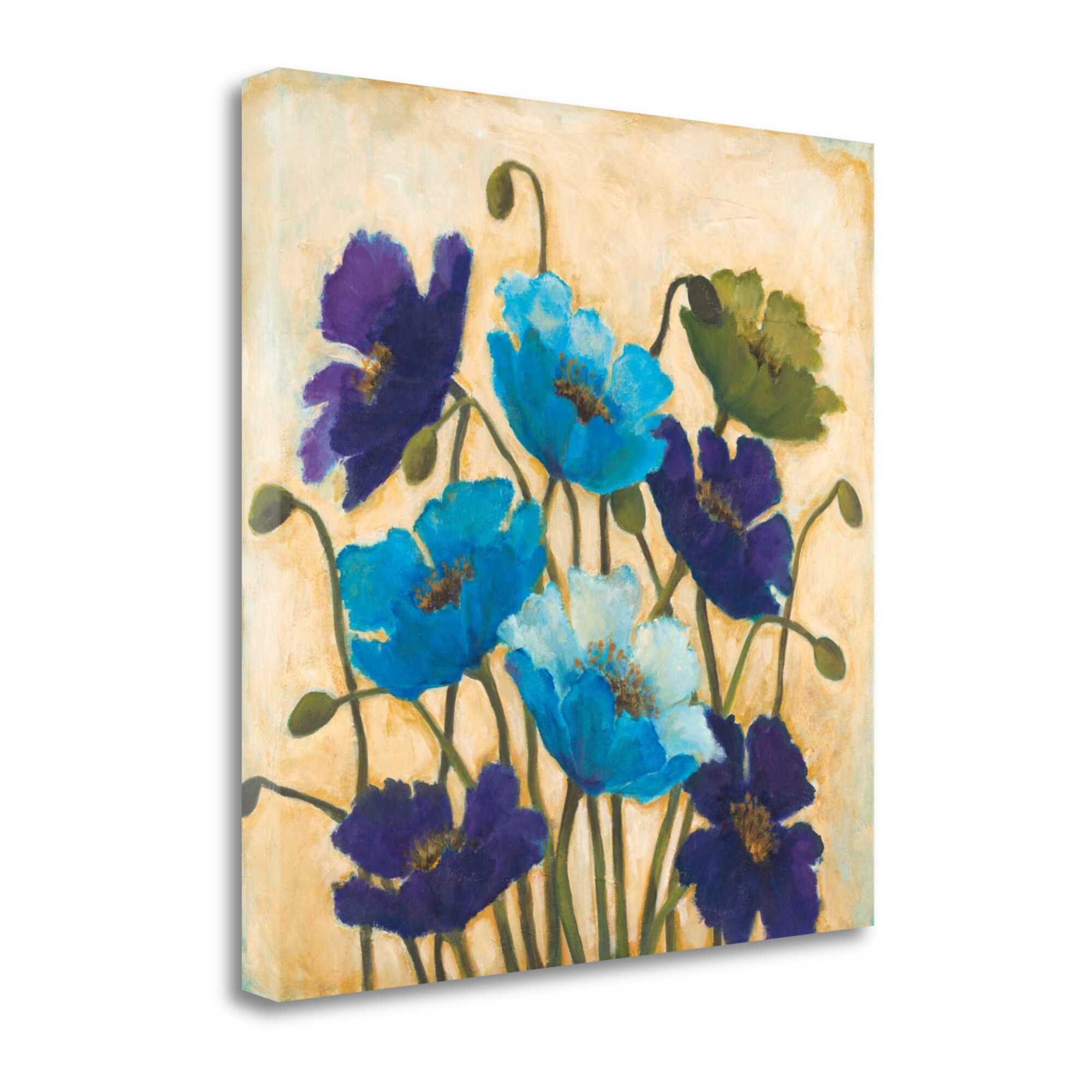 Tangletown Fine Art 20-in H x 20-in W Floral Print on Canvas in the ...