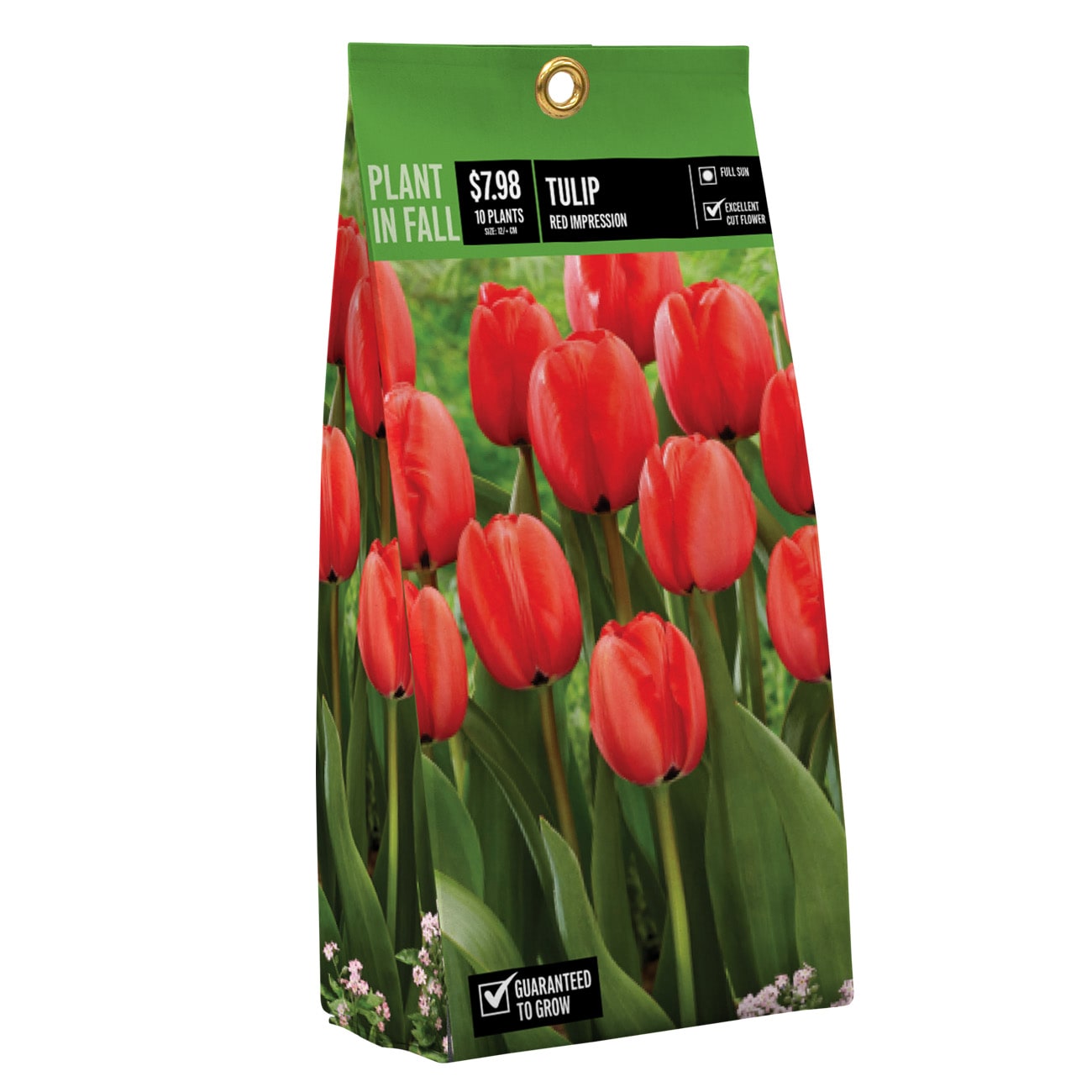 NURSERY TULIP RED IMPRESSION PBS