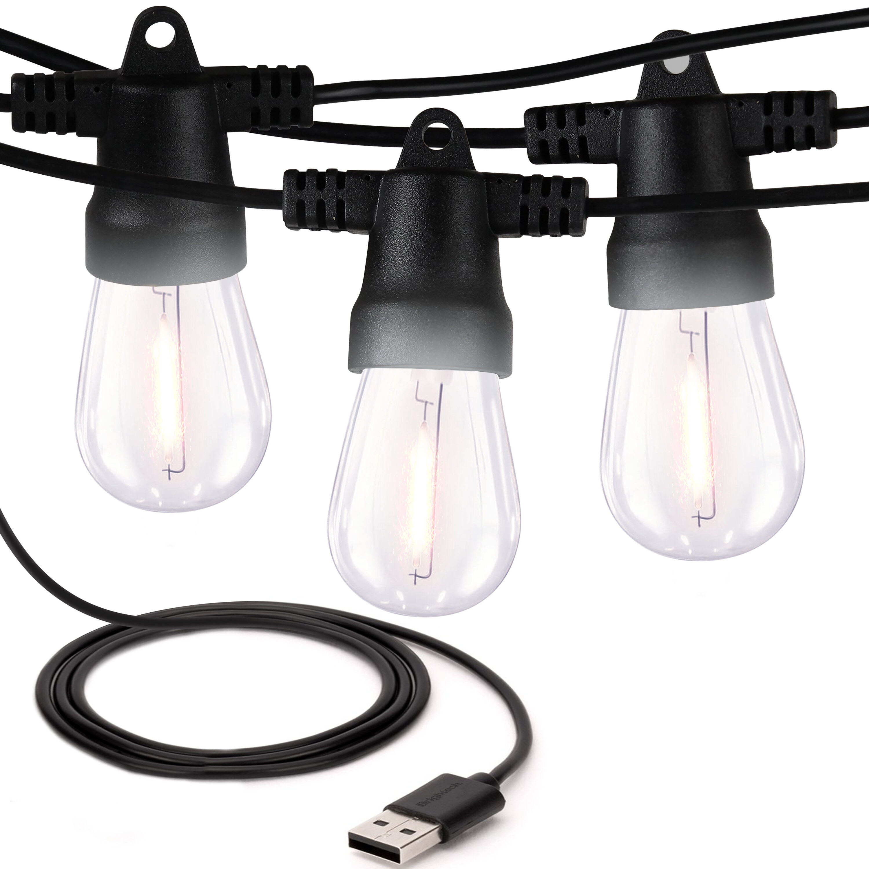 Brightech 24.5-Feet Plug-in Black Indoor/Outdoor String Light with 10 LED Edison Bulbs #AMB-USB-SW