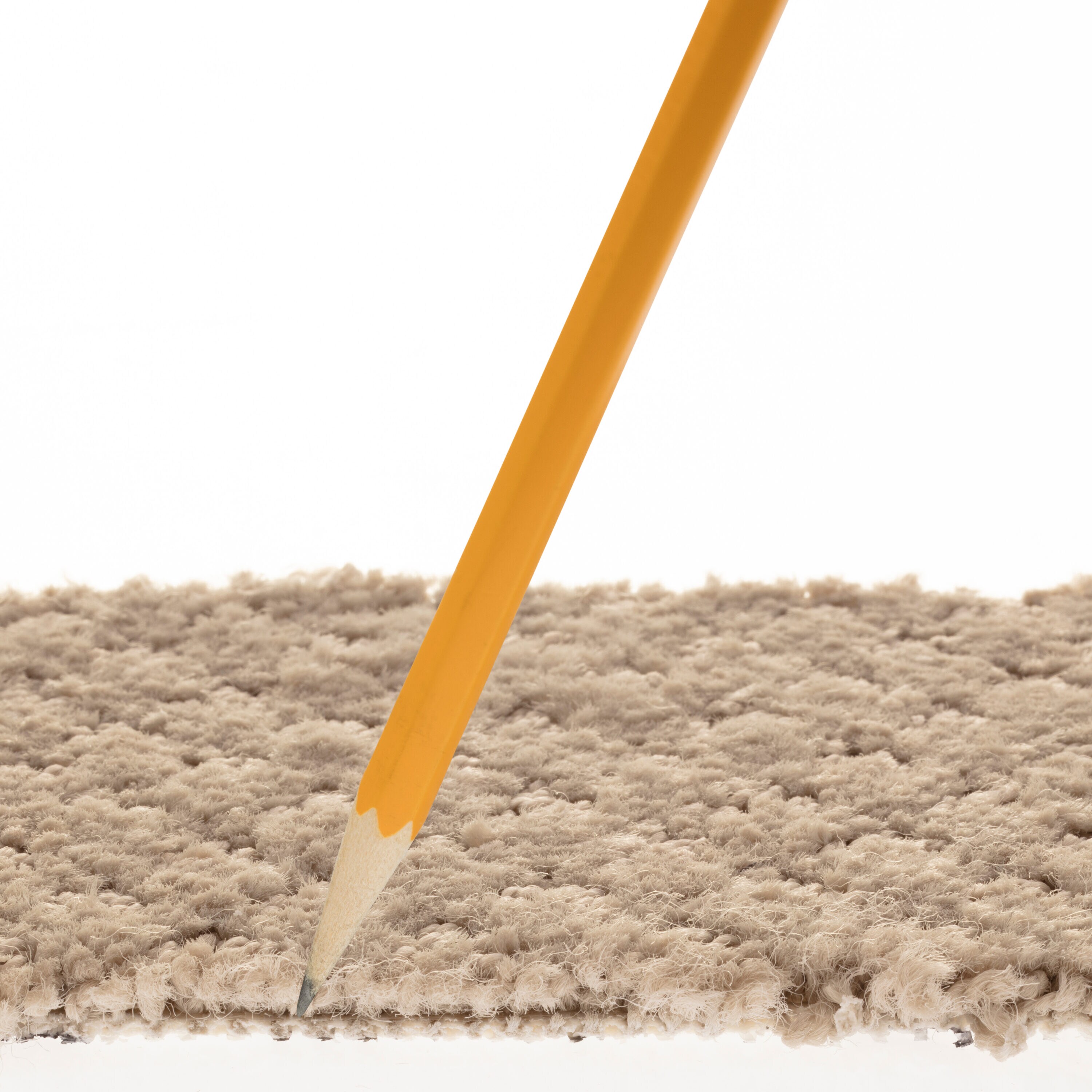 STAINMASTER PetProtect 7L89900752 Carpet-Panel - View #7