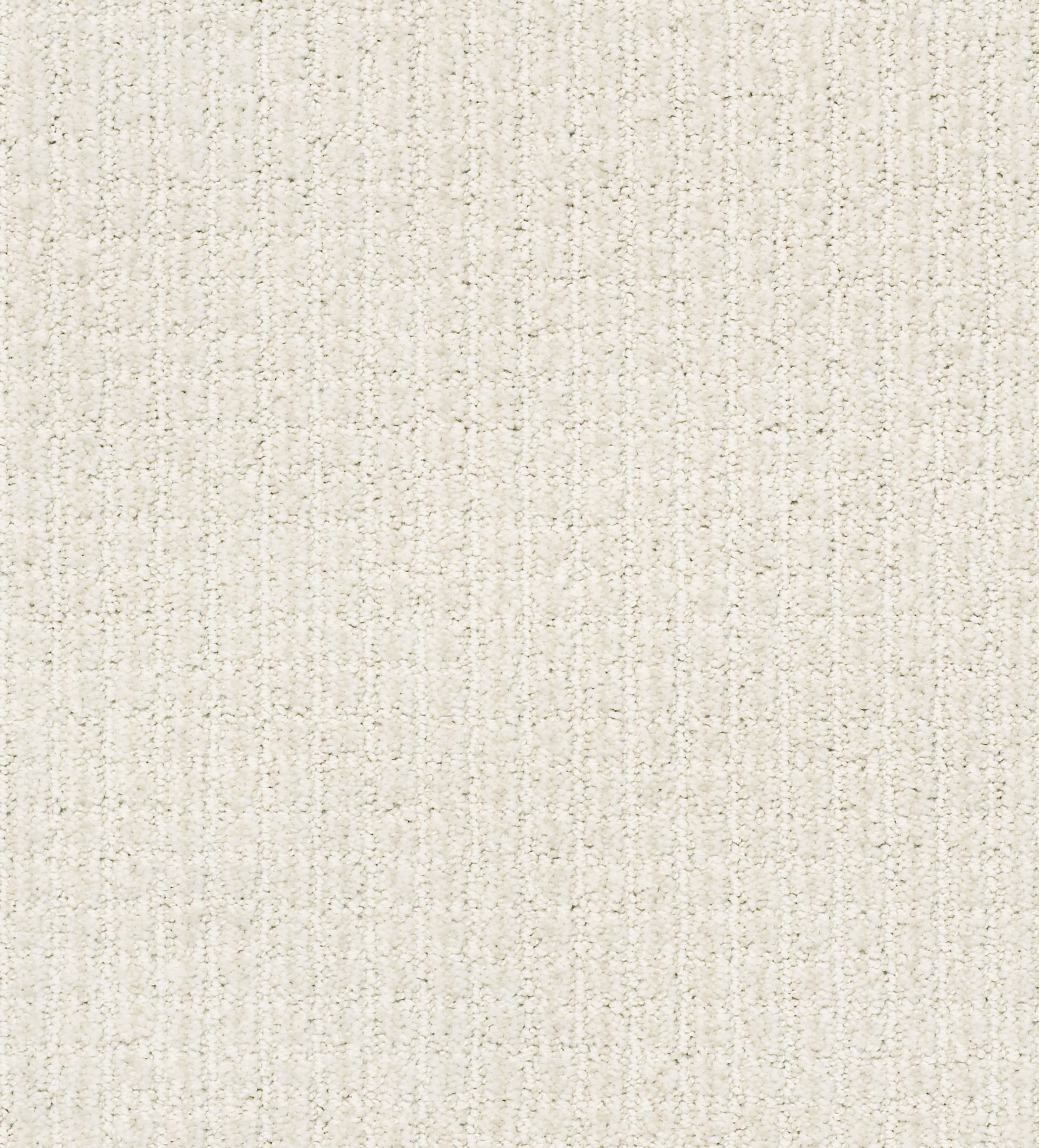 STAINMASTER PetProtect 7L885 - 100 - SAMP (Sample) Pawsh Party Cotton Off-white 29.2-oz sq yard Nylon Pattern Indoor Carpet