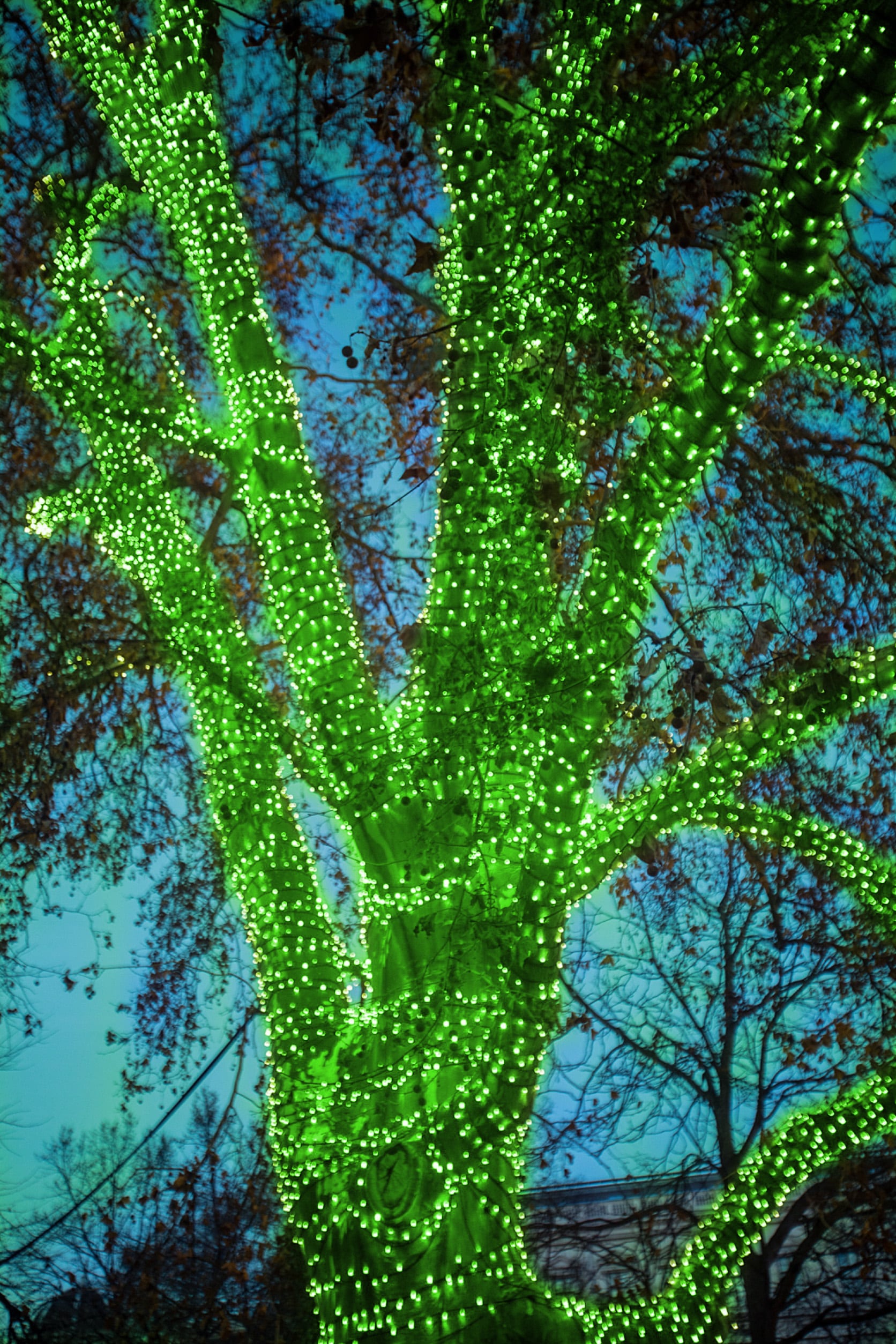 HoliScapes G-5MMT-70-4PK Christmas-String-Lights - View #4