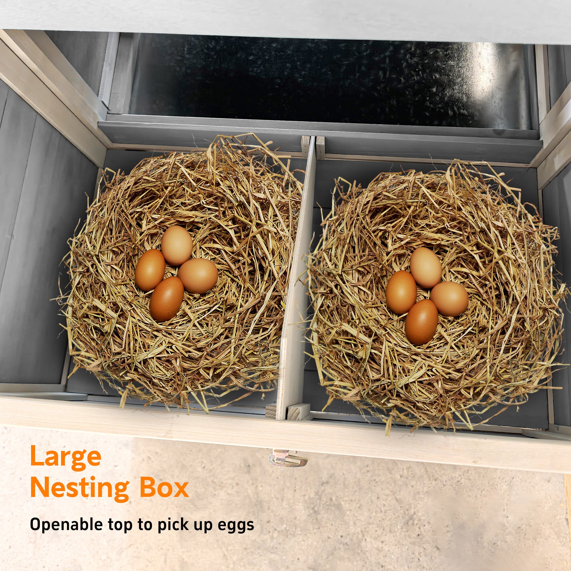 Anysun AS-IS01W08043-K3 Chicken-Coops-Rabbit-Hutches - View #5