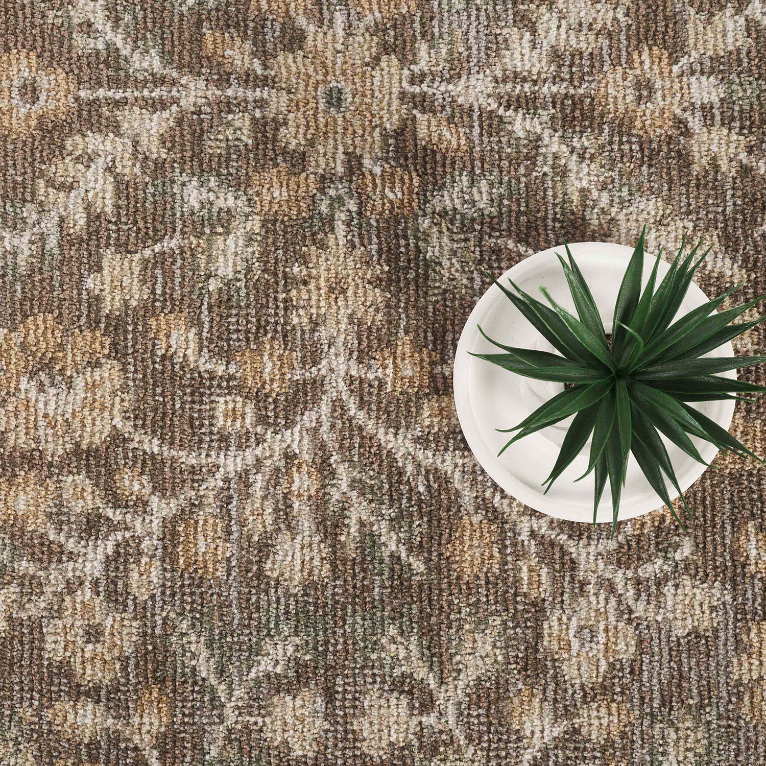 Abani Rugs EVE130A-4 rugs - View #7