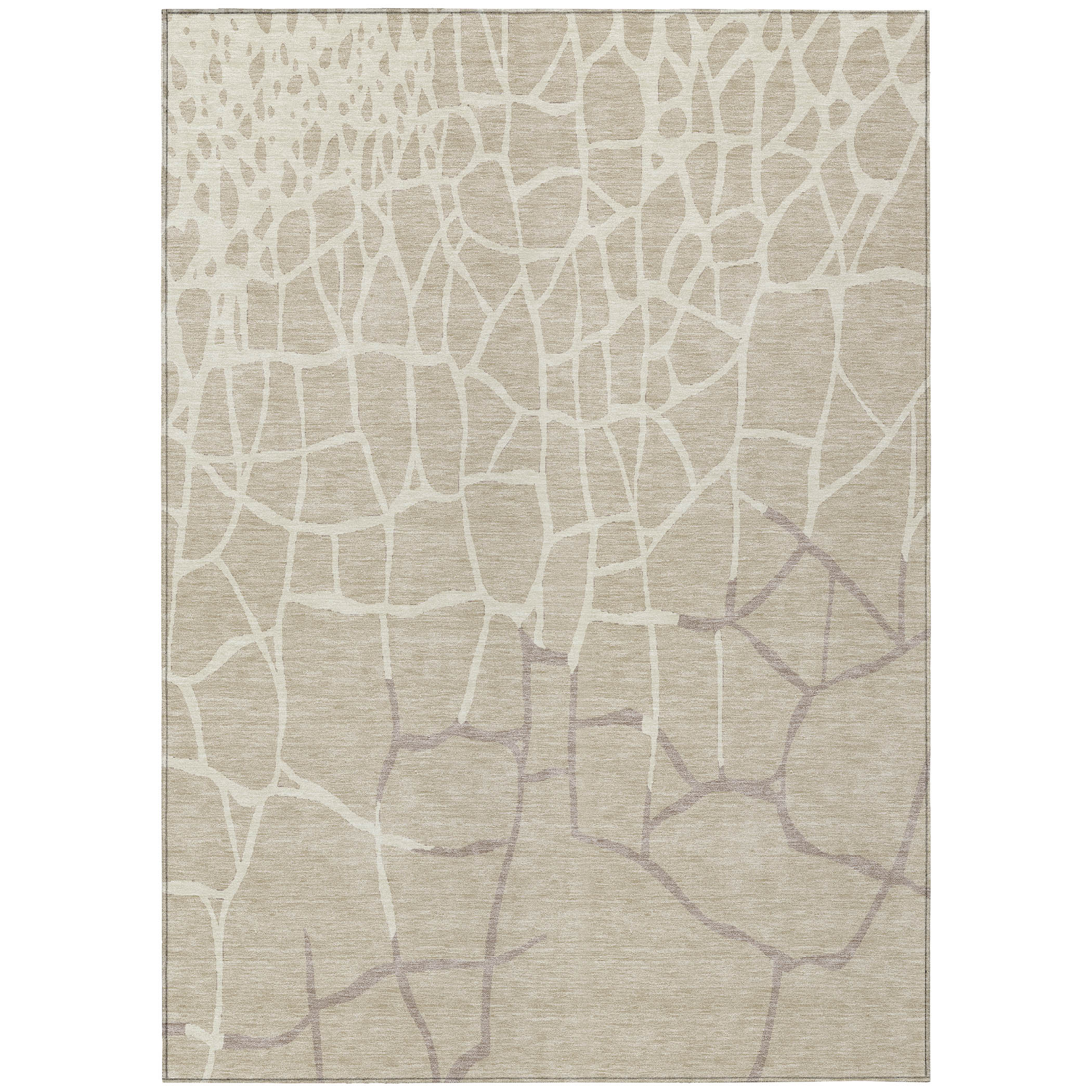 Addison Rugs ACN1049BG30X46 rugs - View #2