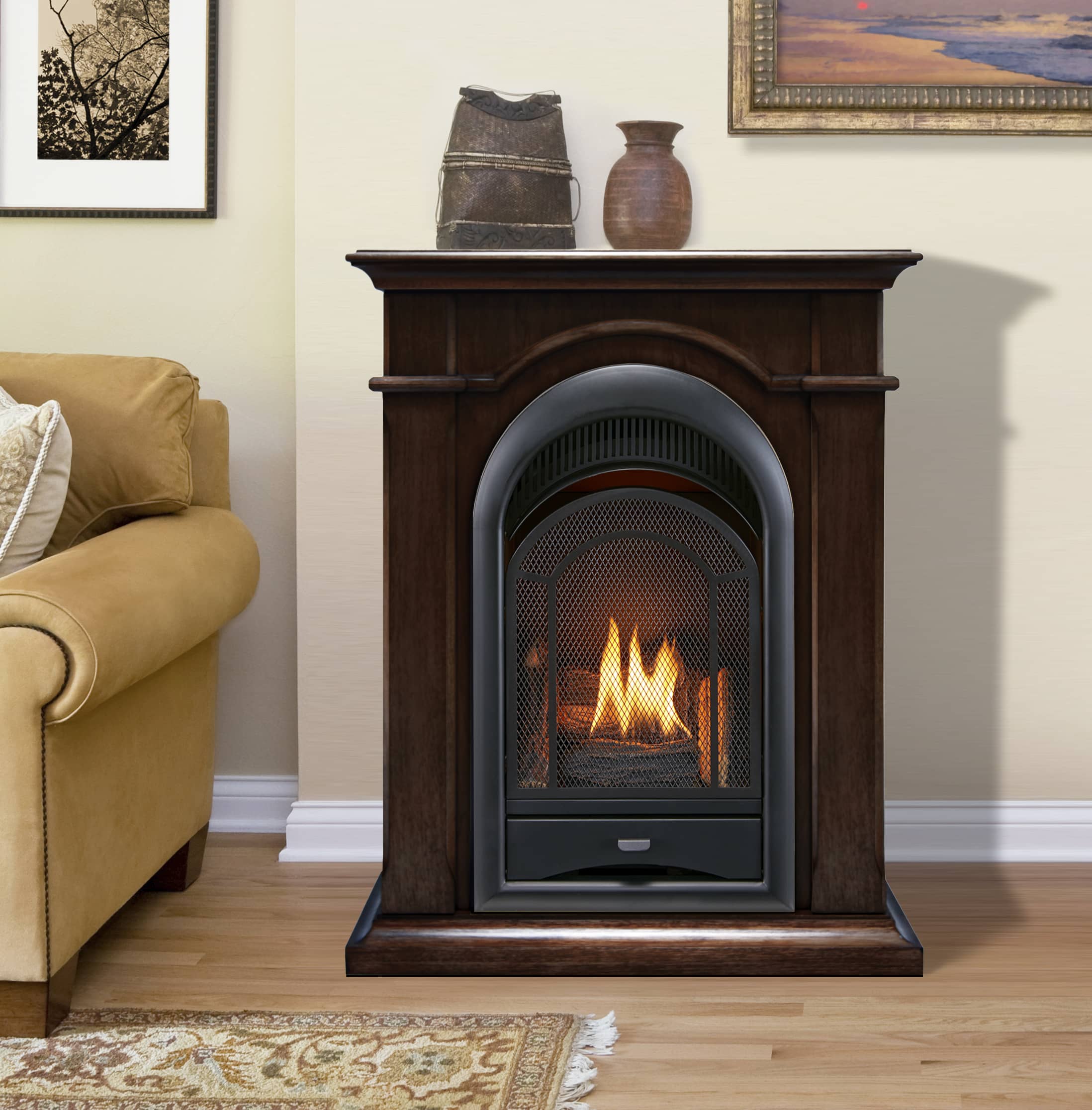 ProCom FS100T-CH Gas-Fireplaces - View #2