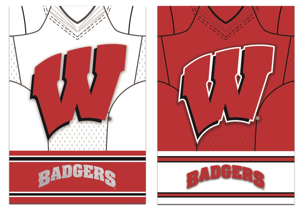 Team Sports America Wisconsin Badgers Mailbox Cover for sale online 