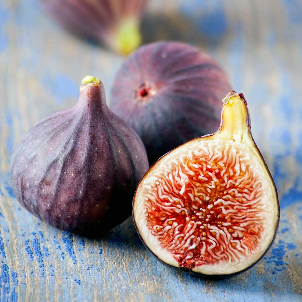 Southern Living Plant Collection 20482-1 Fruit-Plants - View #8