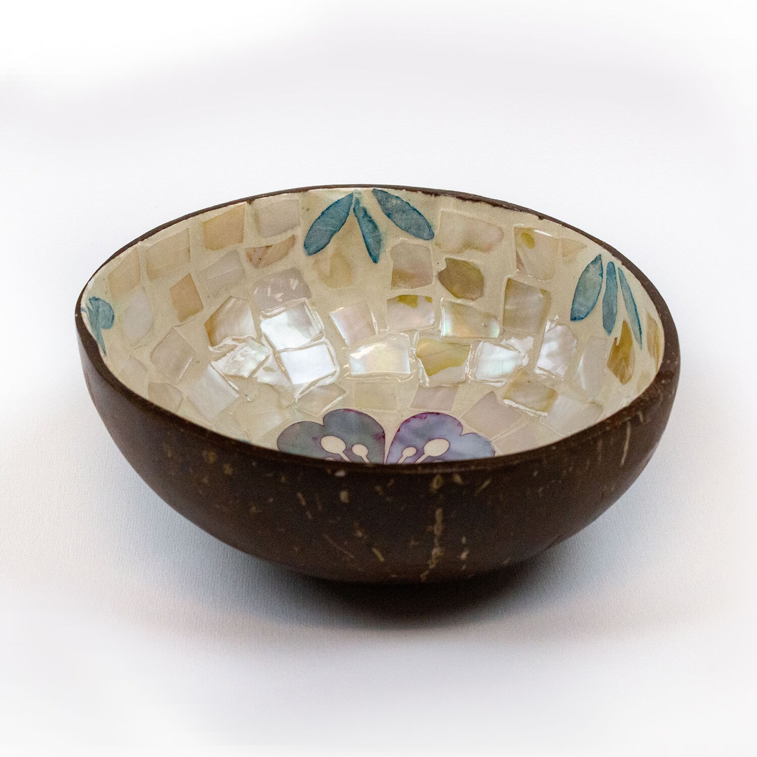 La Pastiche Purple Coconut Shell Modern Decorative Bowl In The ...