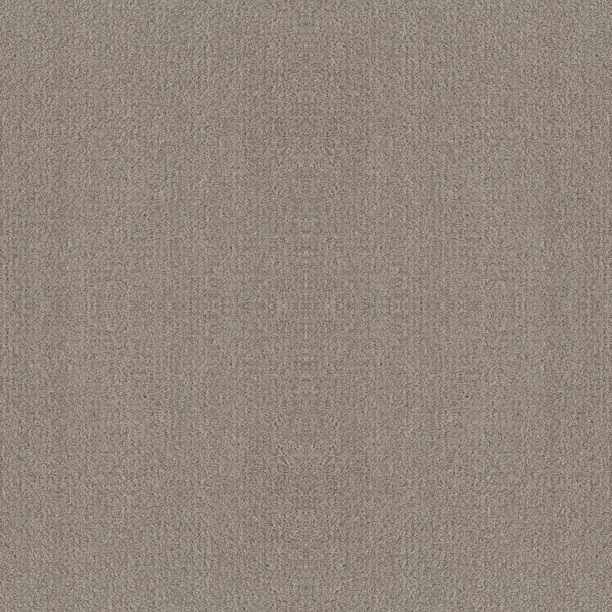 STAINMASTER PetProtect 7L851 - 108 - SAMP (Sample) Carefree Days Fossil Path Brown 43.9-oz sq yard Nylon Pattern Indoor Carpet