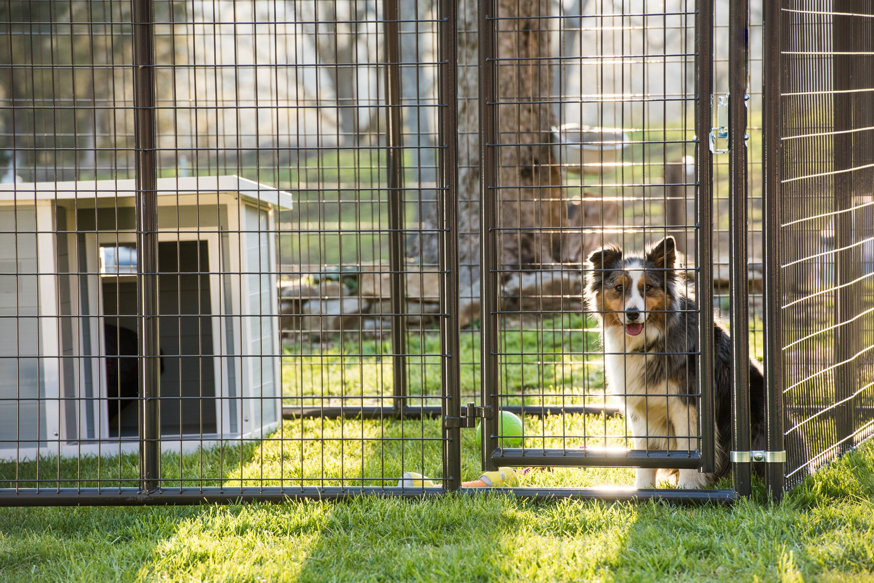 Tarter DKC Outdoor-Kennel-Accessories - View #3