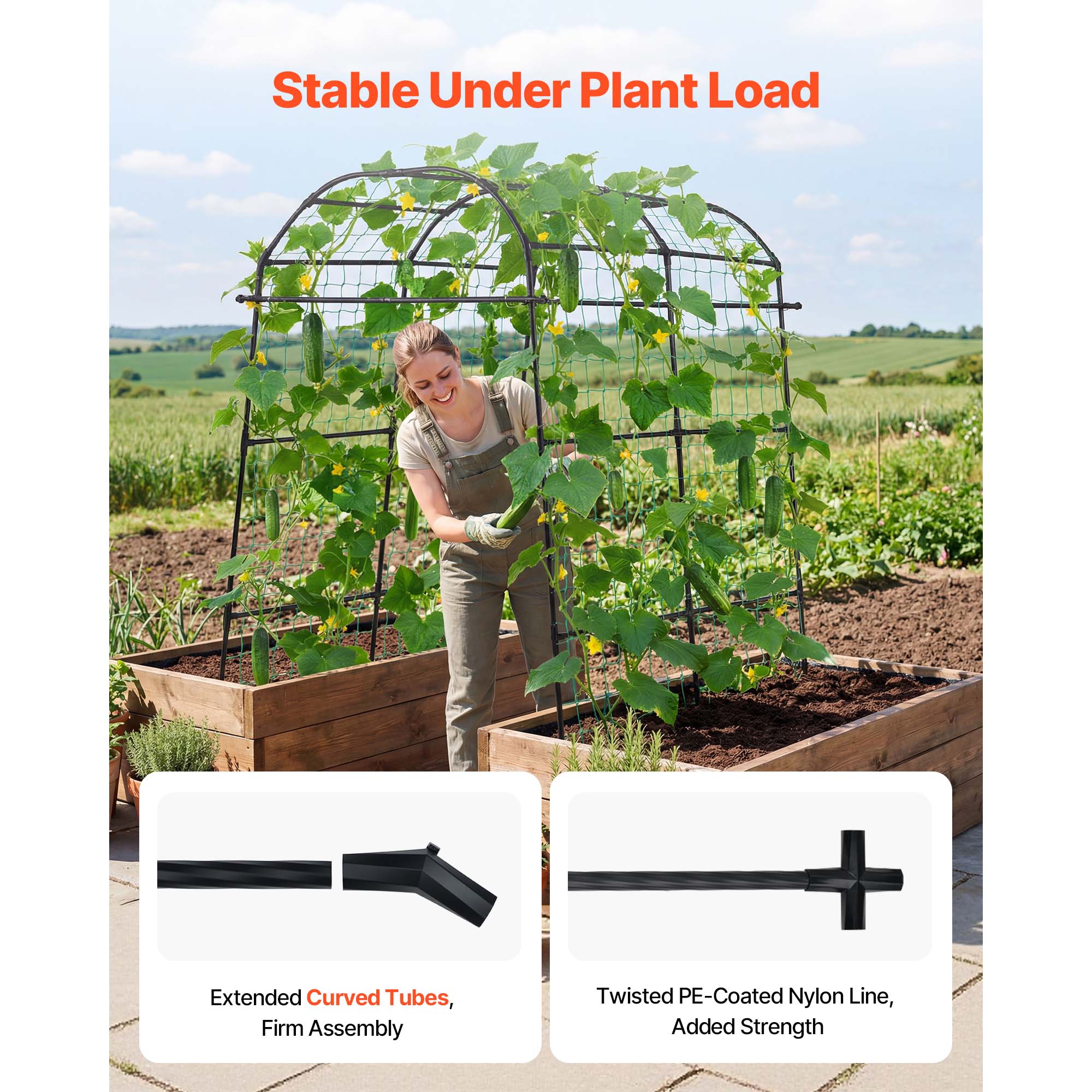 VEVOR Cucumber Trellis U-Shape Garden Trellises for Raised Bed Metal Arch  Plant Support for Vine Climbing Plants Outdoor Peas Beans Zucchini Tomato  Squash Flower (70.87 x 44.09 x 82.99 in) in the