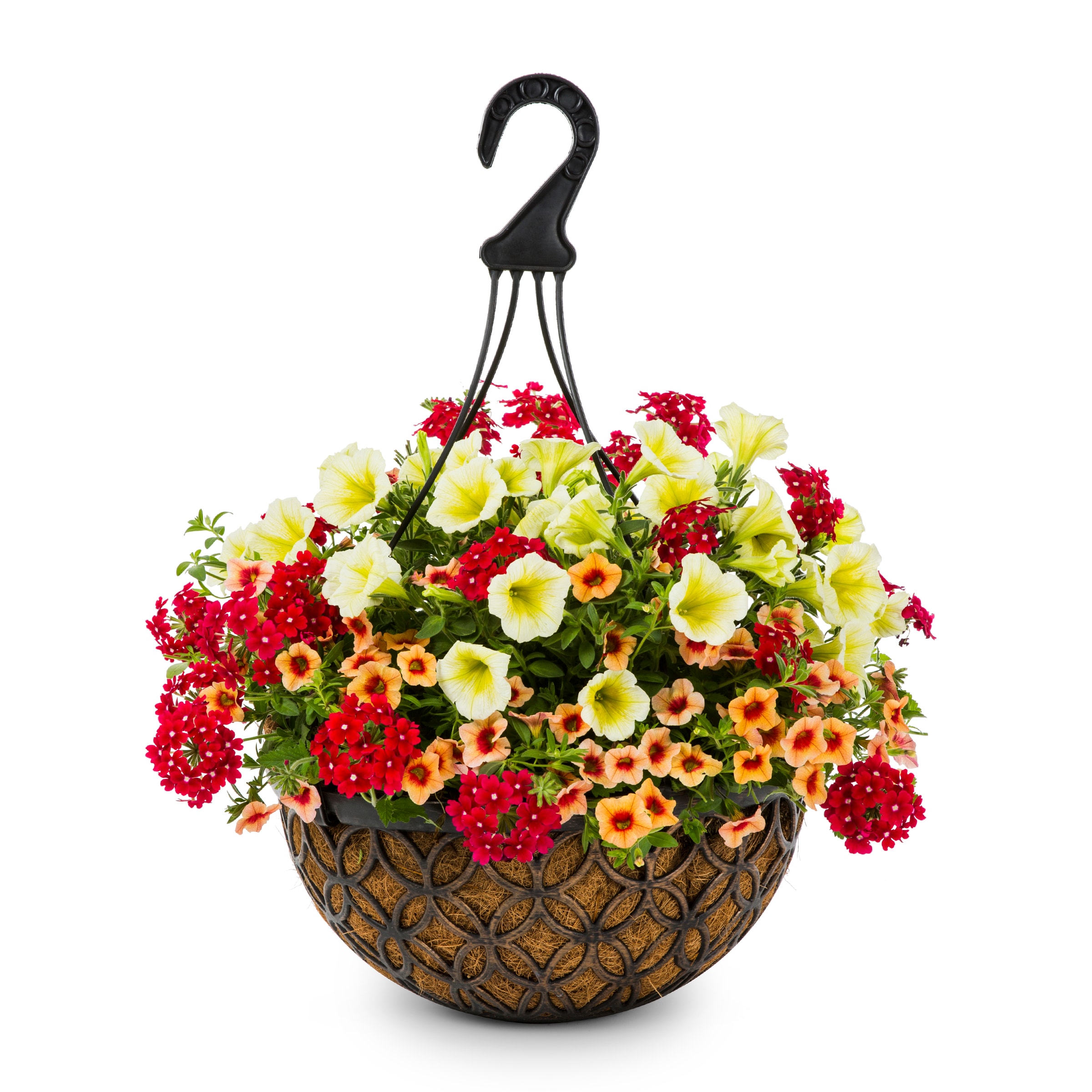 Lowe's Multicolor Mixed Annuals Combinations in 3-Gallon Hanging Basket ...