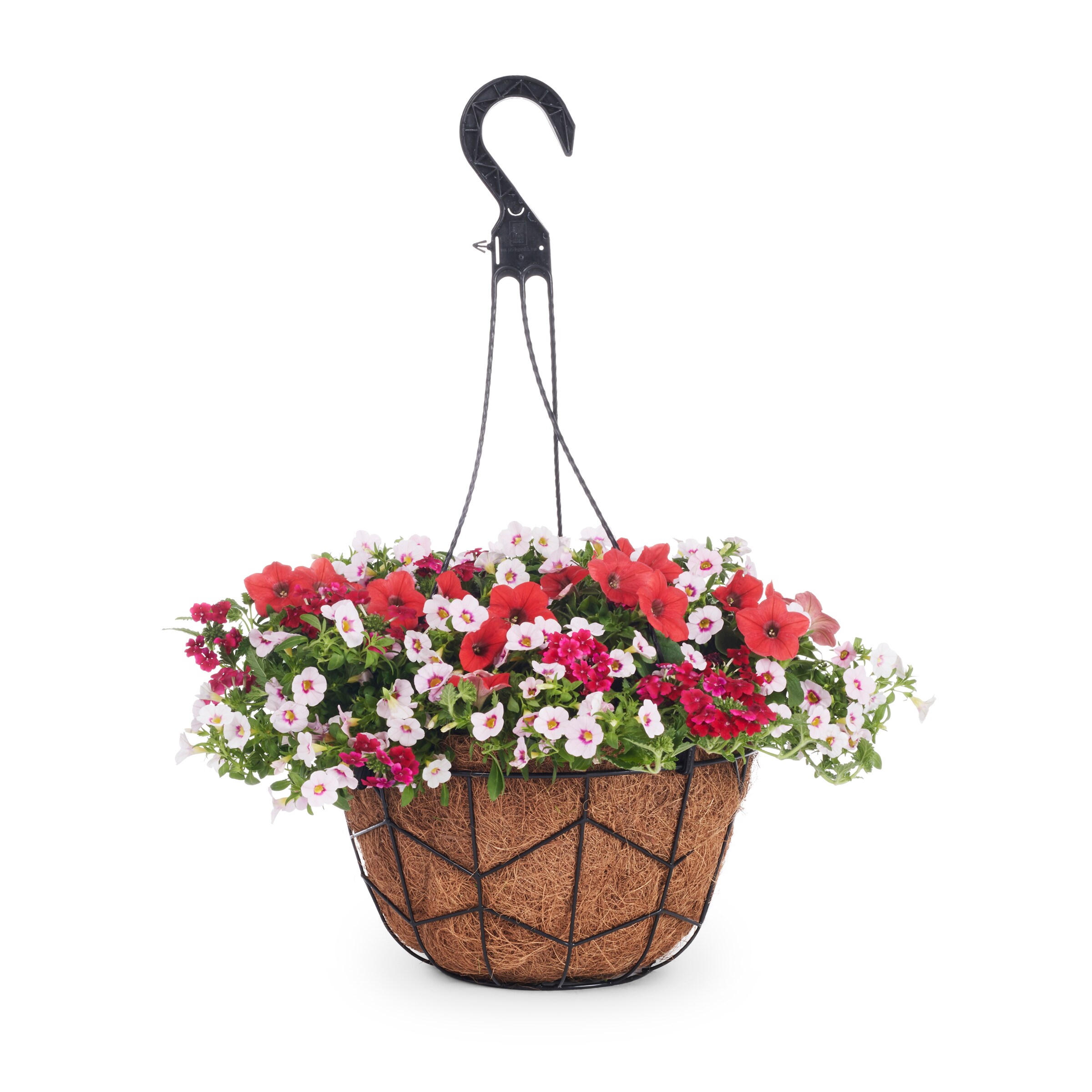 Lowe S Multicolor Mixed Annuals Combinations Hanging Basket In The   10021326 