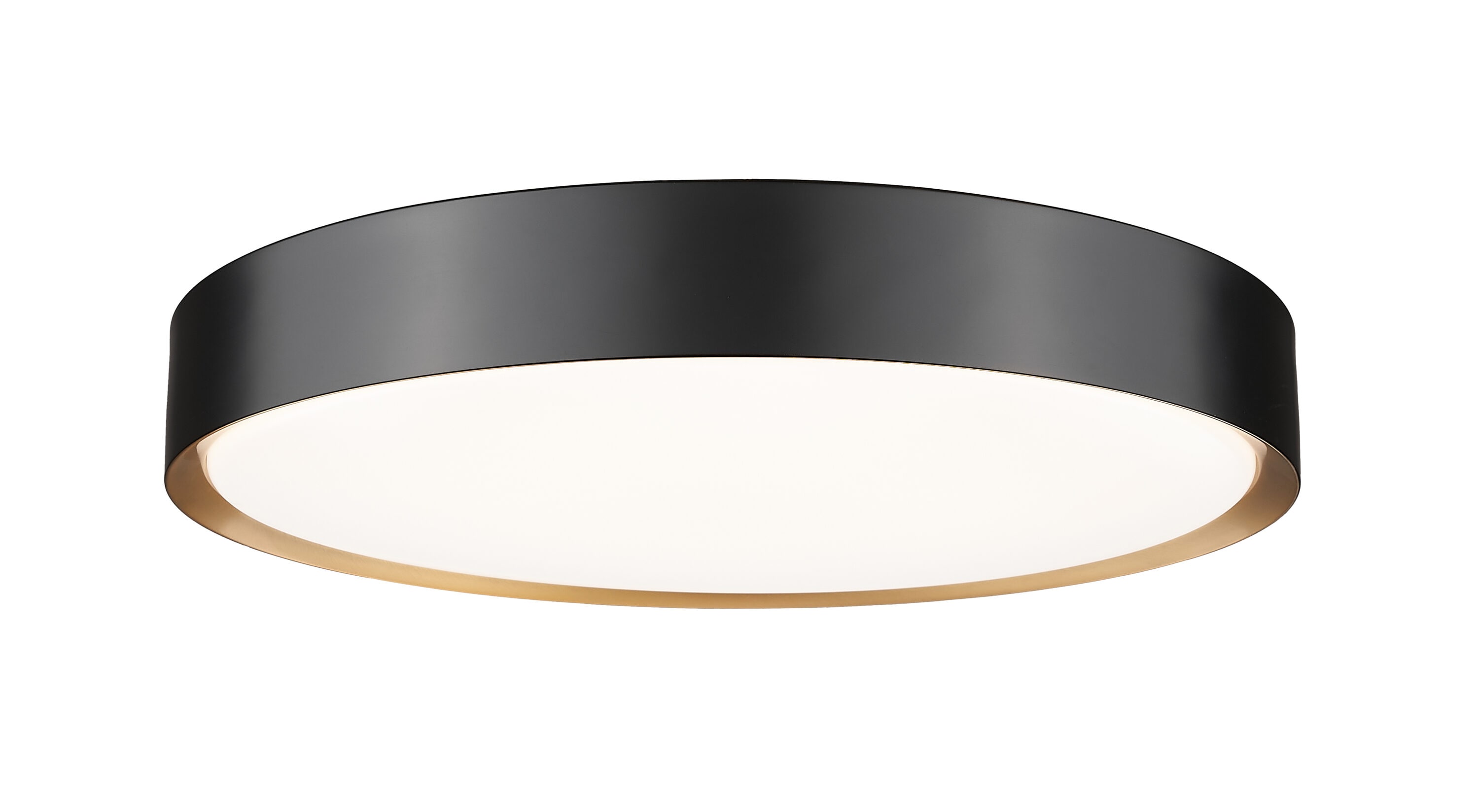 Z-Lite 1014F20-MB-MGLD-LED flushmounts - View #2