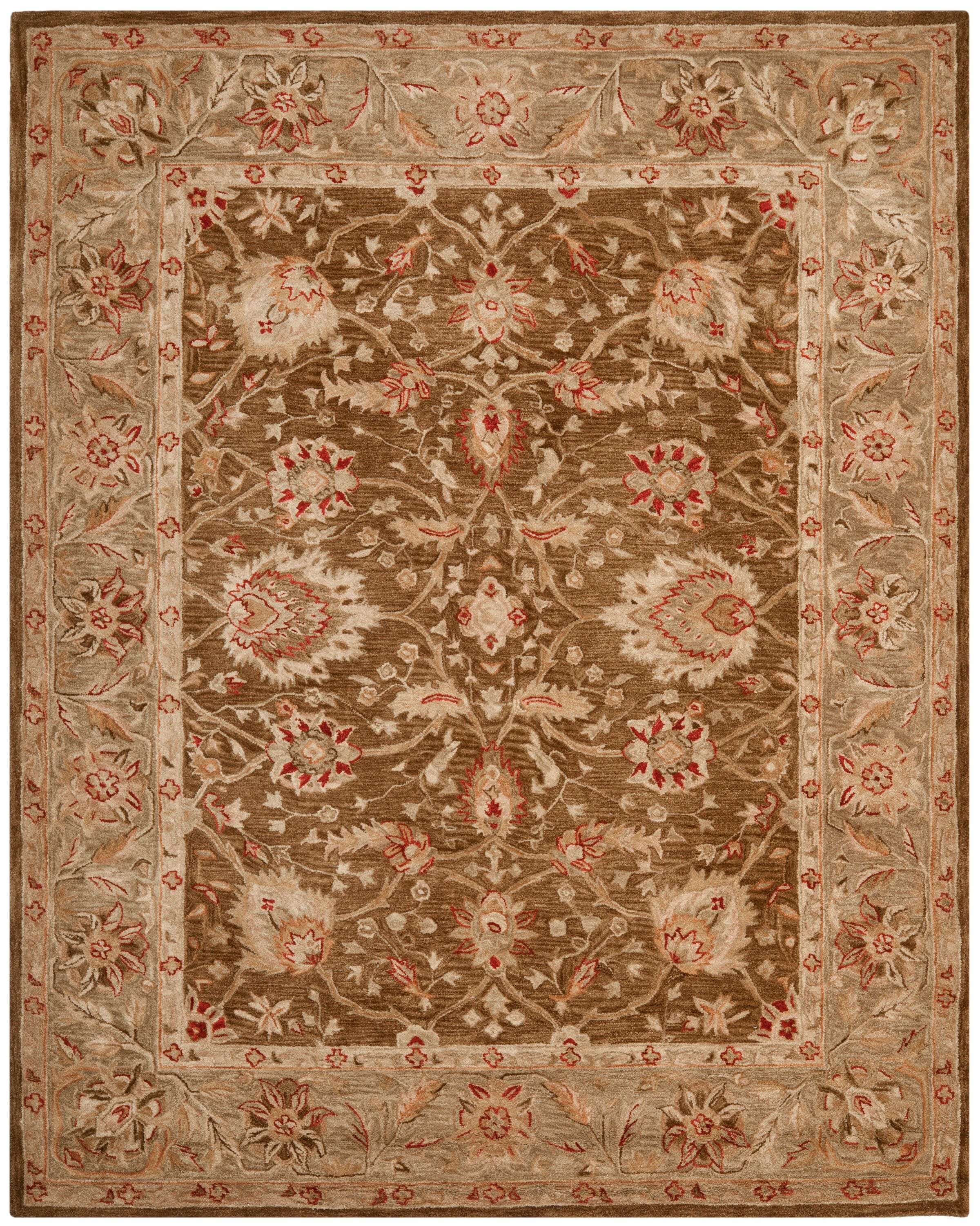 Safavieh AN512F-10 rugs - View #2