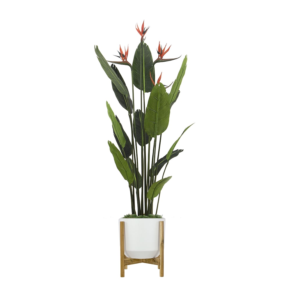Twigs & Twines S28154 5.5' Bird of Paradise WH Matte std LG