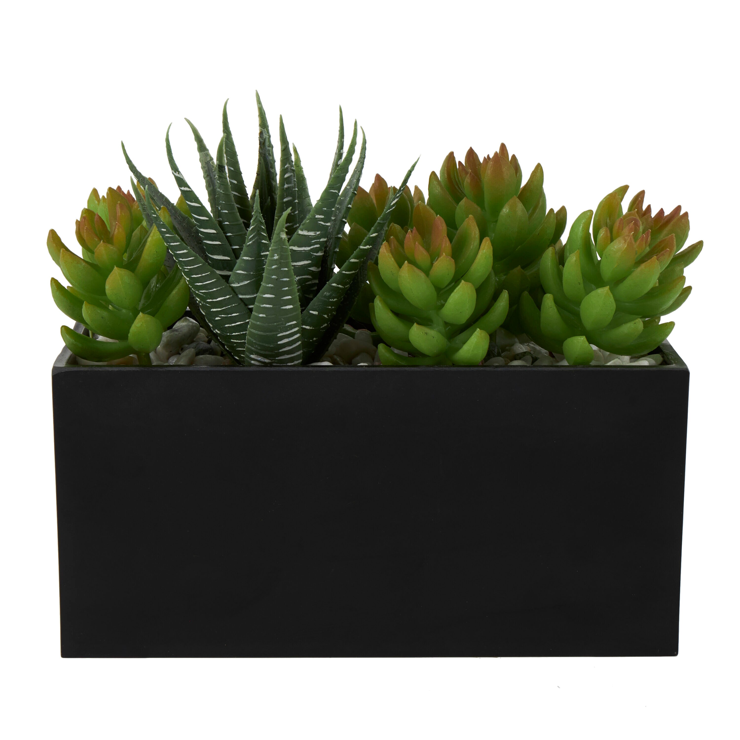 Grayson Lane 6.5-in Green with Black Pot Indoor Mixed Greenery ...