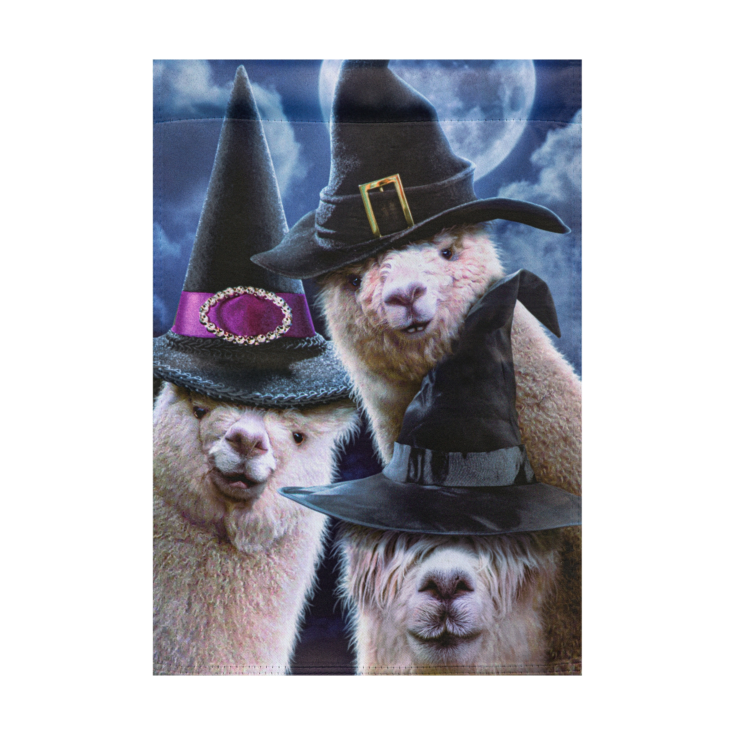 Style Selections ZLW14S14719 1.25-ft W x 3.33-ft H Halloween Embroidered Garden flag