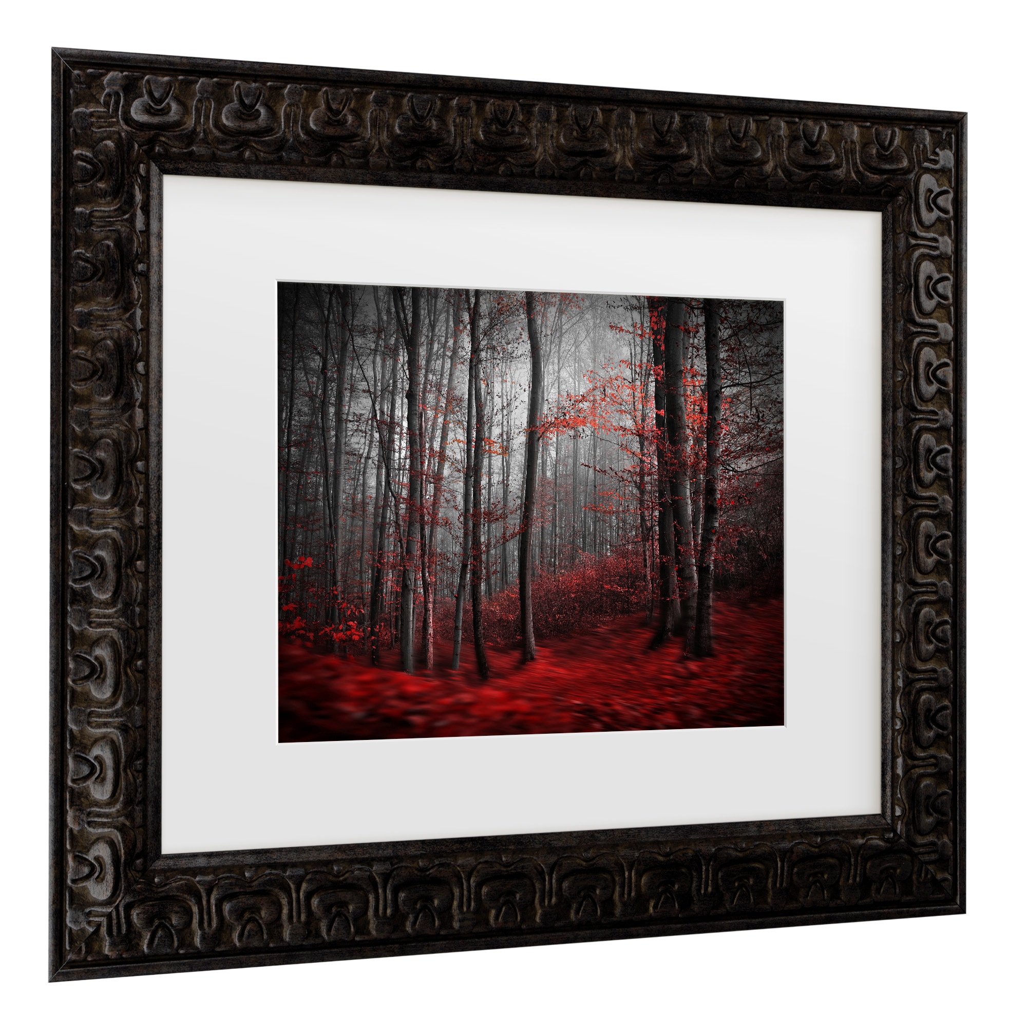 Trademark Fine Art 1X00238-DG1620MF Wall-Art - View #3