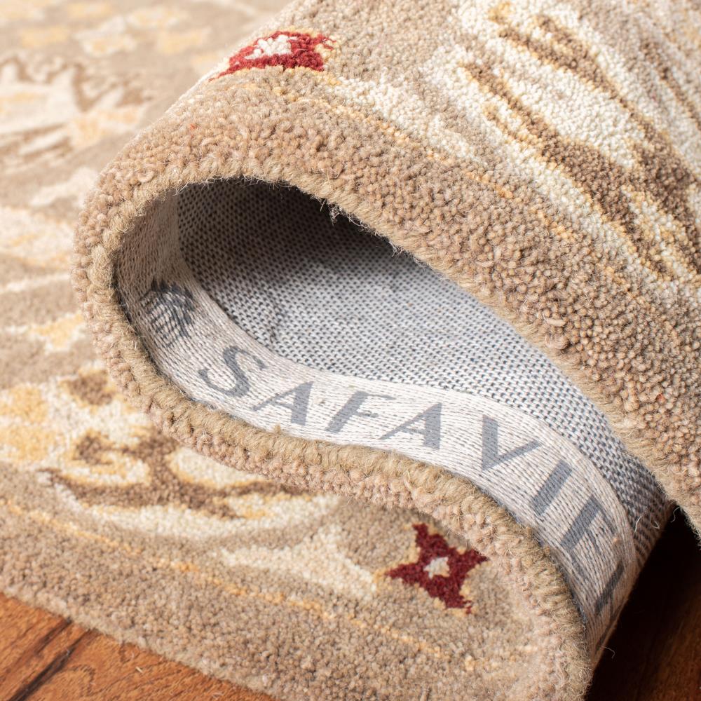 Safavieh AN559A-4 rugs - View #6