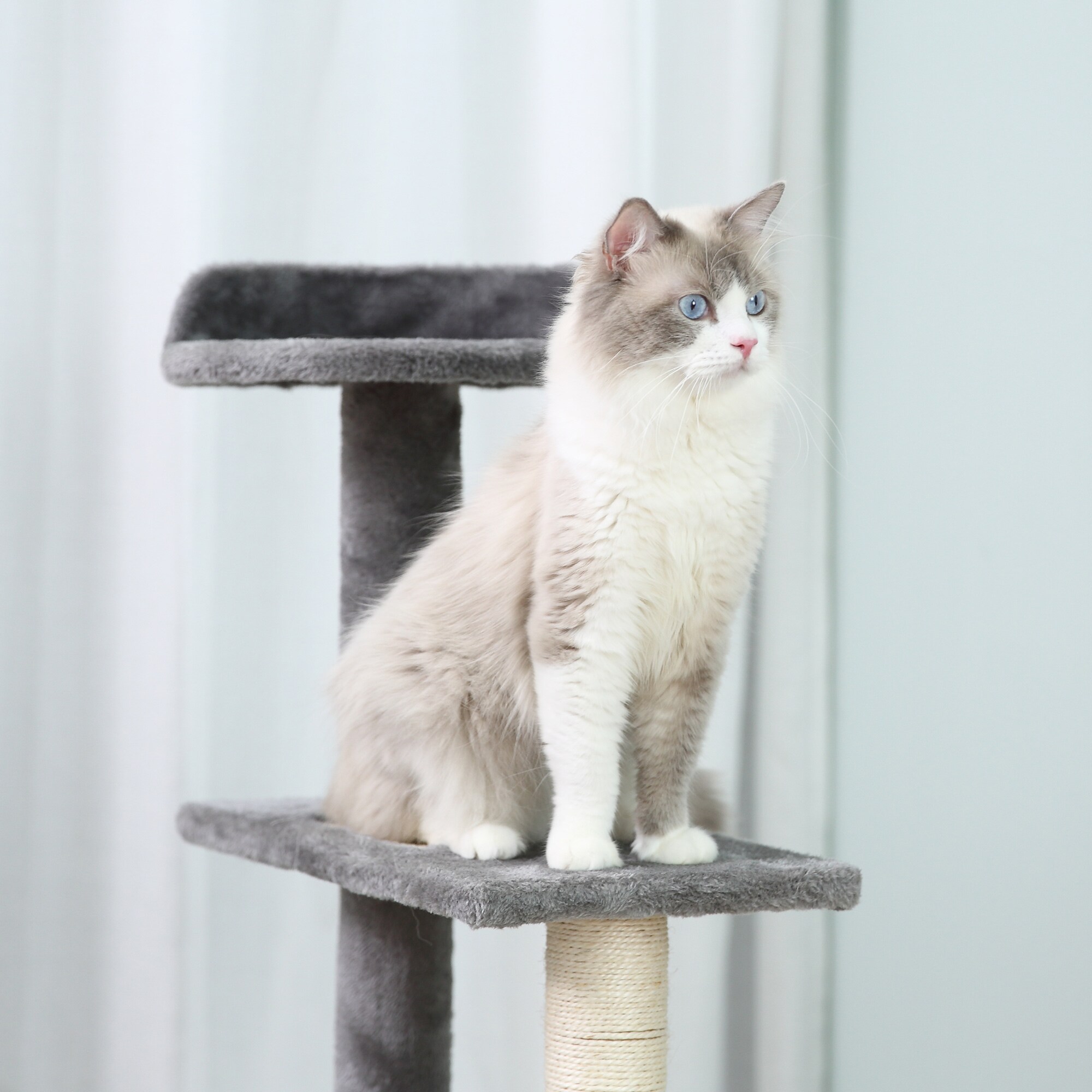 PawHut X-D30-183 Cat-Trees - View #6