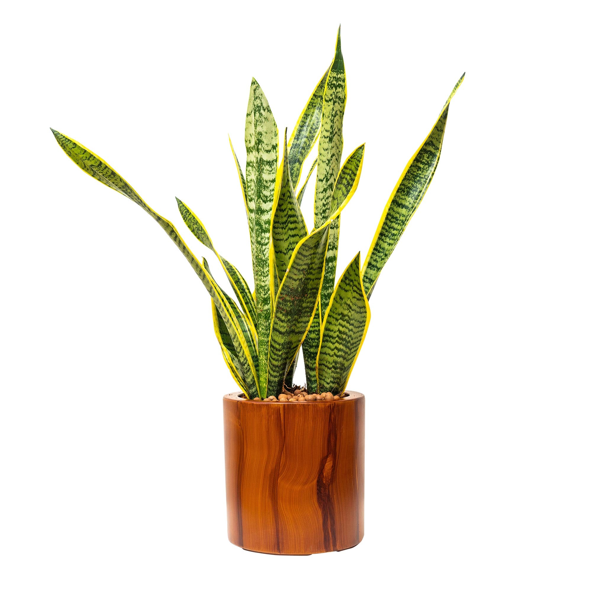 Miki Shinly JJ-4616-01DTY Round 7.8-in W Medium Brown Plastic Indoor/Outdoor Planter