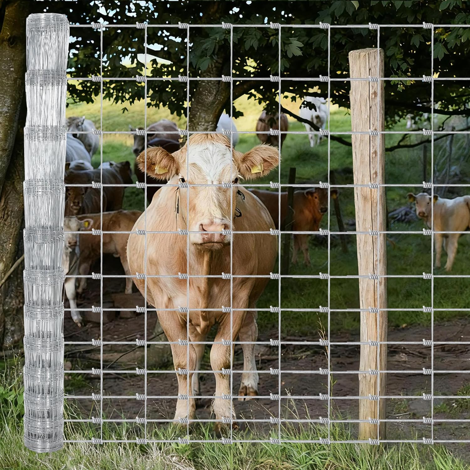GAOMON Heavy Duty 14-Gauge Galvanized Livestock Fence 6-ft x 100-ft ...