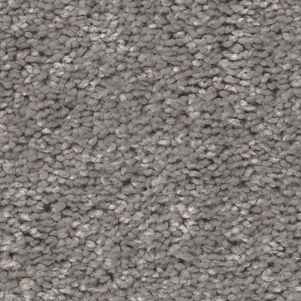 Style Selections 7L846 - 501 - SAMP (Sample) Dialed In I Ink Spot Gray 25-oz sq yard Polyester Textured Indoor Carpet