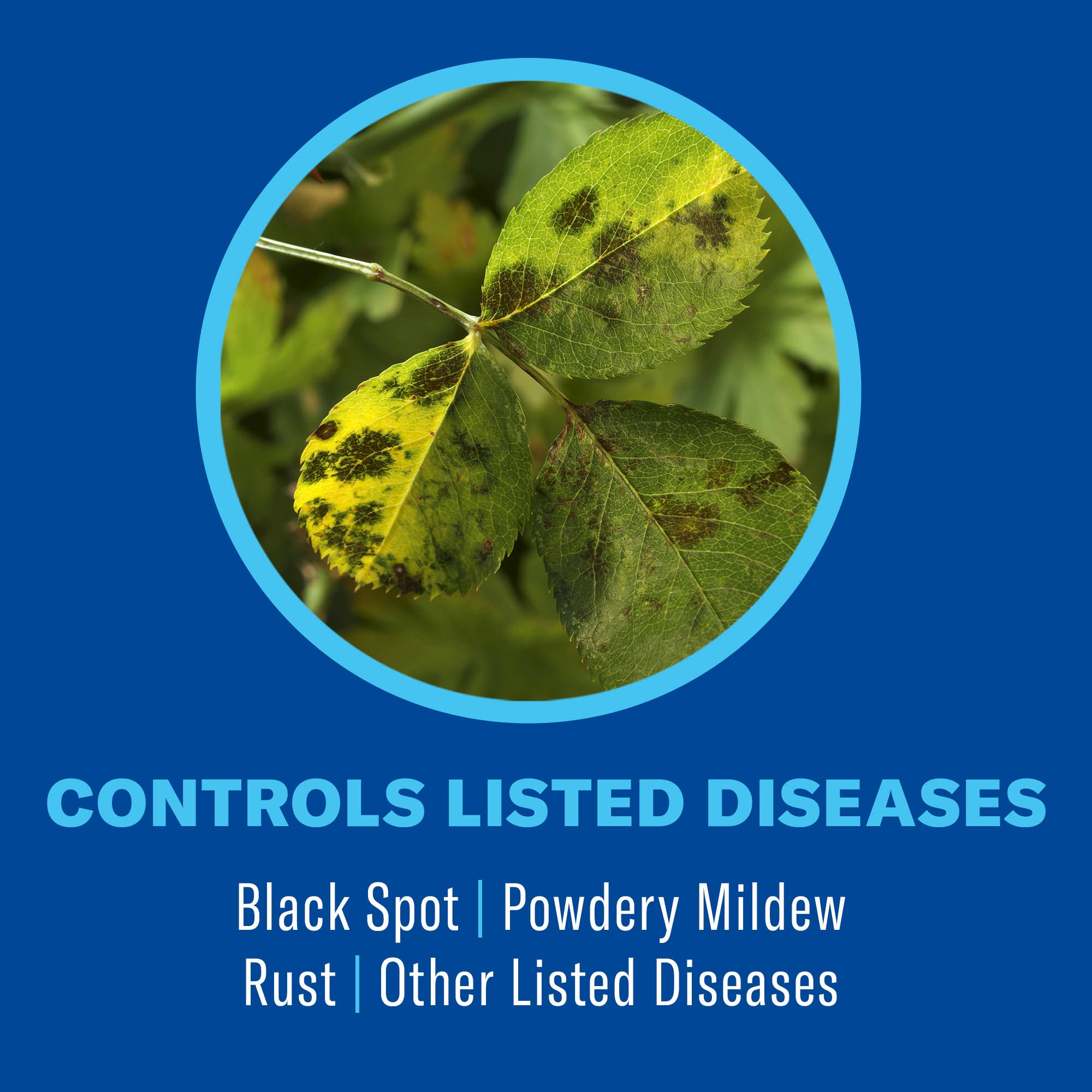 BioAdvanced 820138 pesticides - View #3