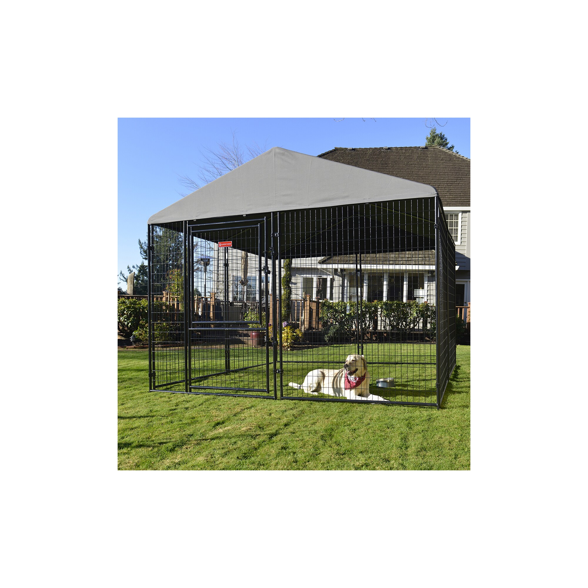 Lowes dog hot sale kennel 10x10