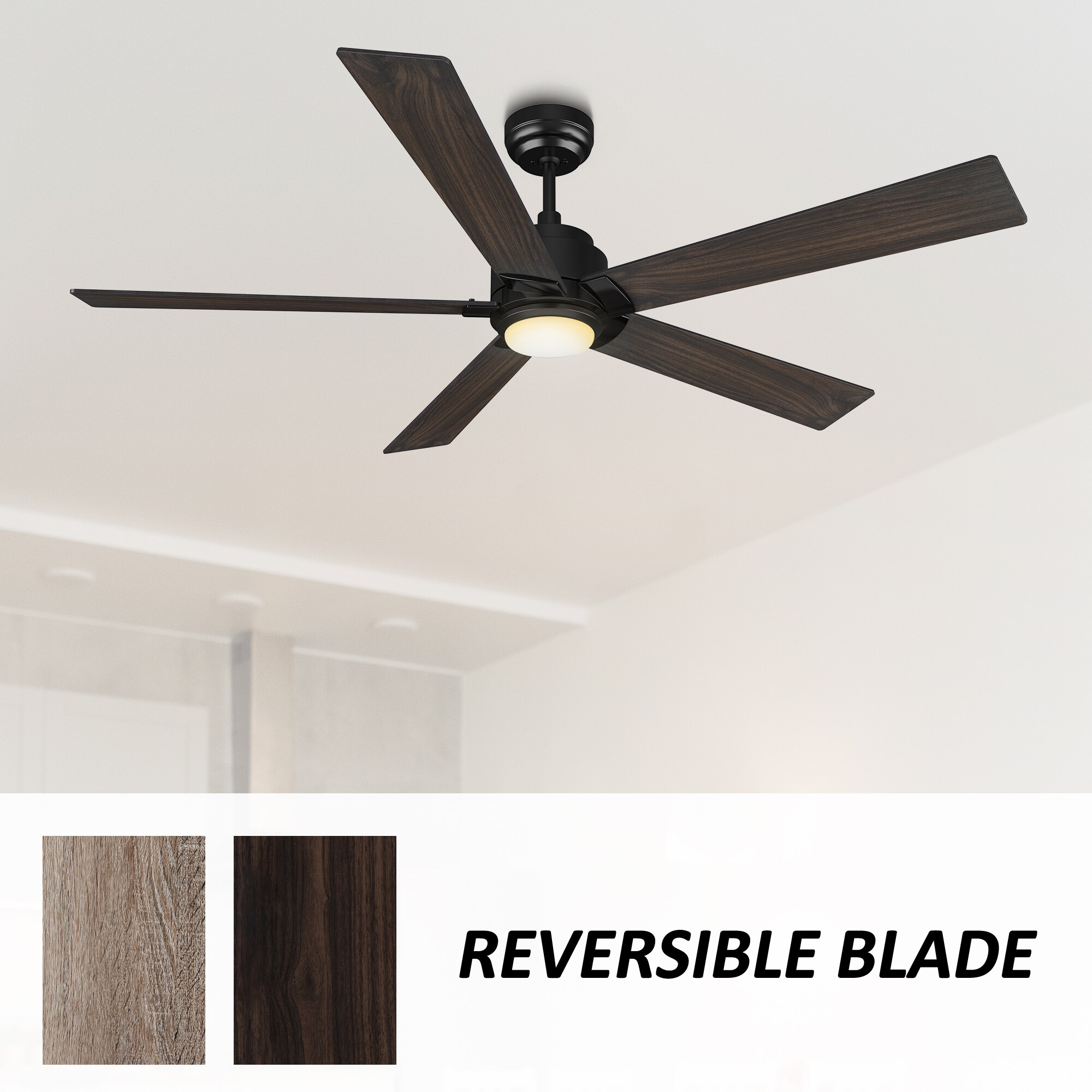CARRO USA LCFR605J1-L11-BG-1 Ceiling-Fans - View #7