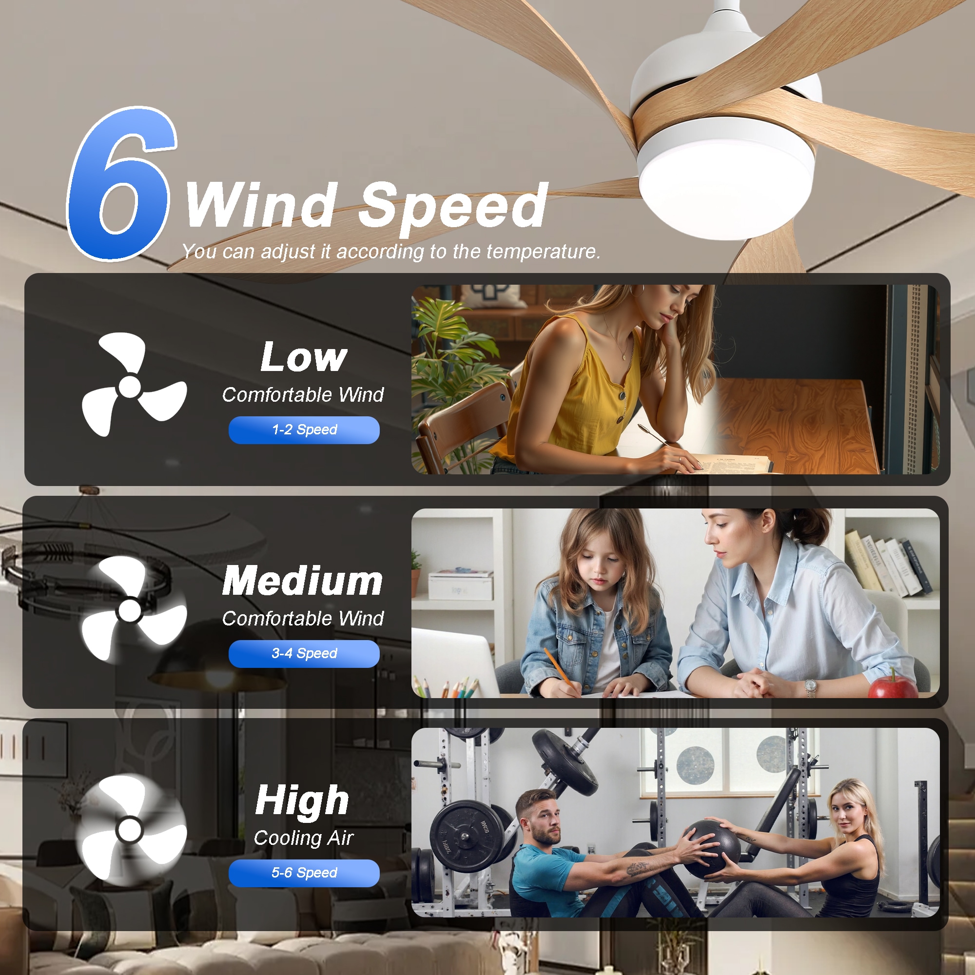 Sunrinx MG13-CF-11 Ceiling-Fans - View #14