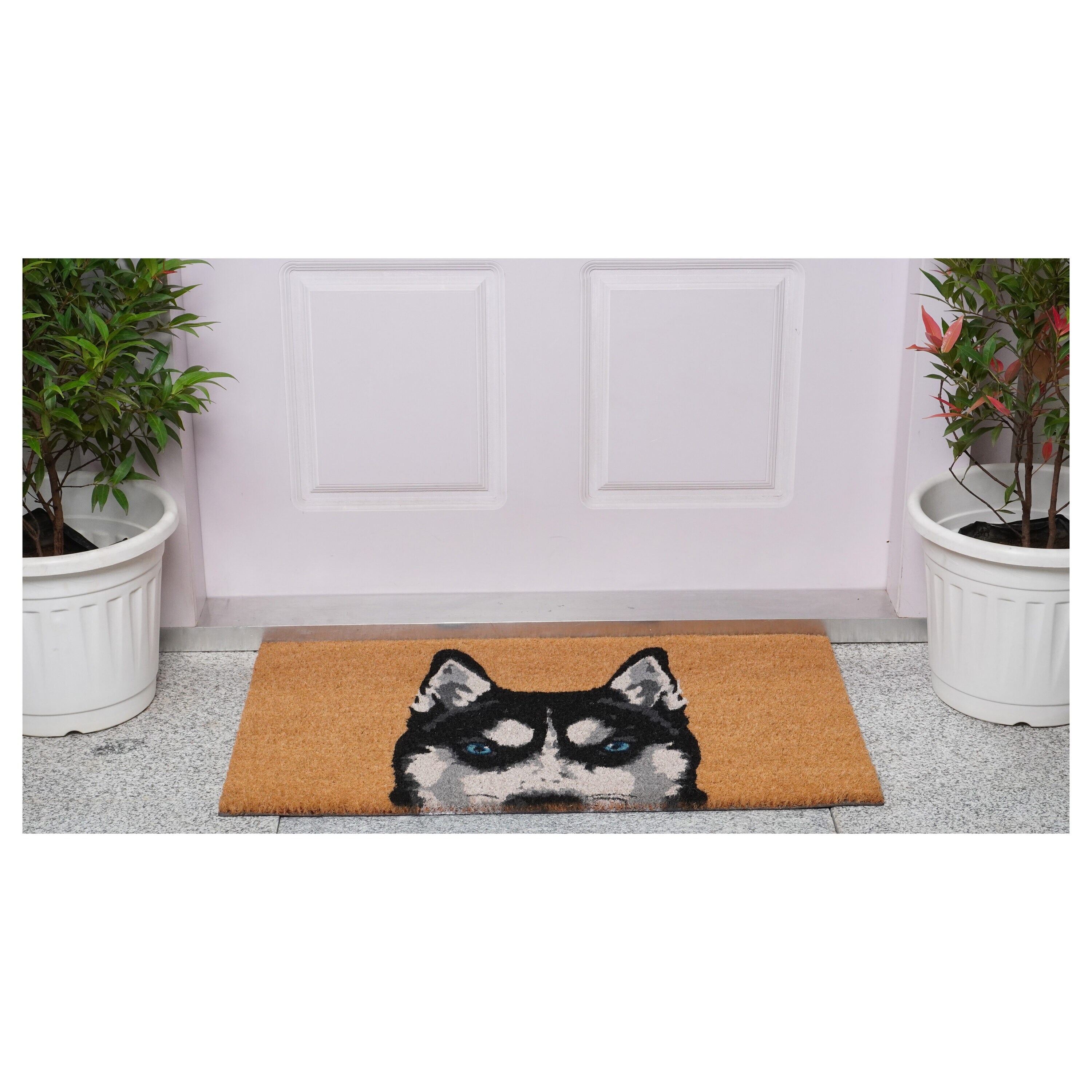 Callowaymills 109552436 Mats-Cat - View #3