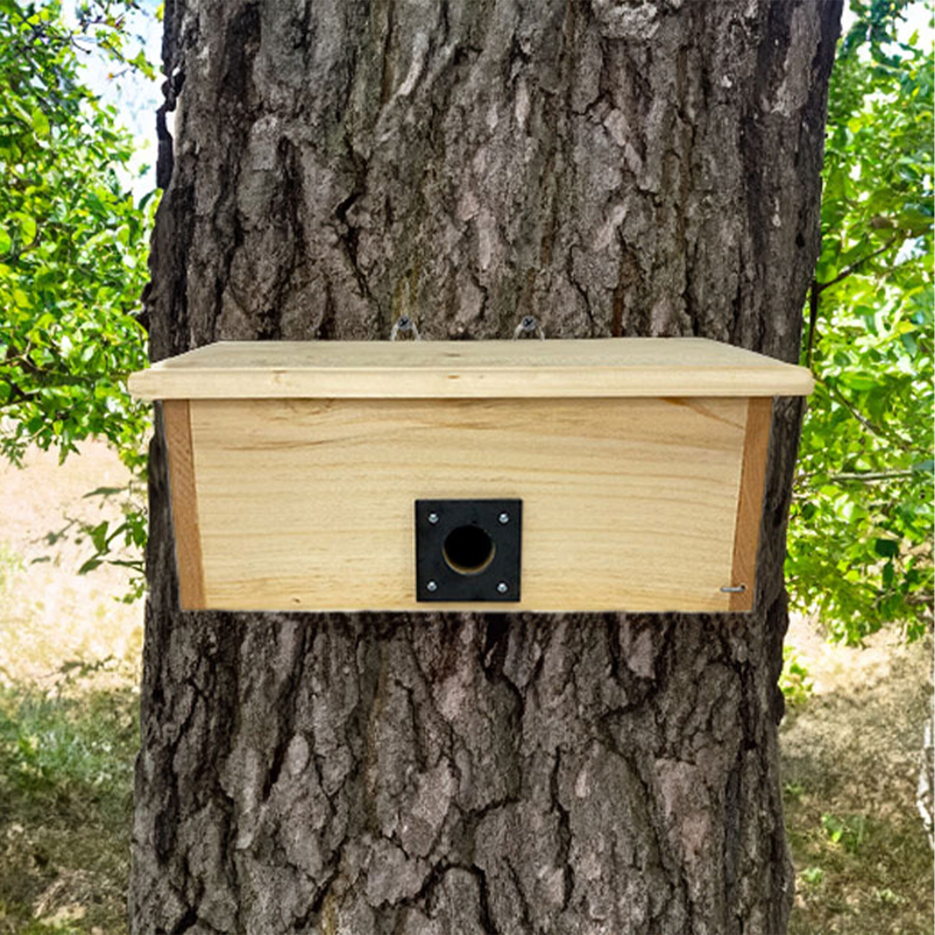 Coveside Conservation COV-10098 7.625-Inches H Natural Wood Chickadees Bird house accessories Predator Proof Bird House