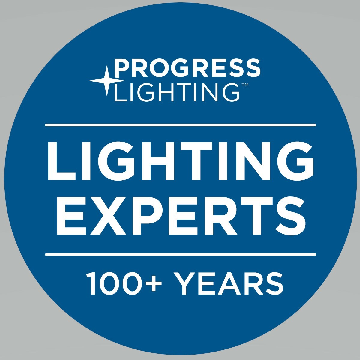 Progress Lighting Briarwood 1-Light 9.5-in Graphite Incandescent