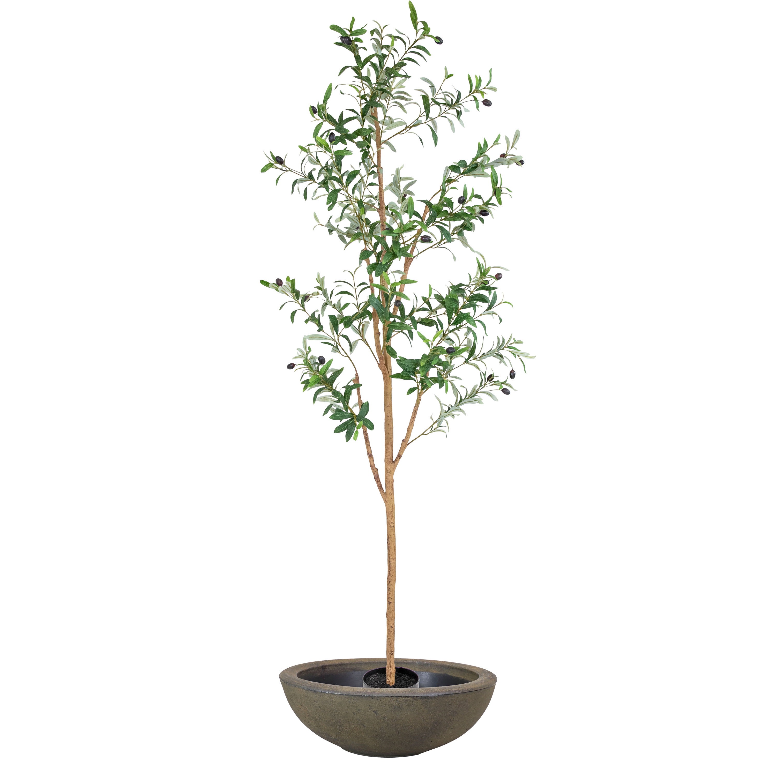 Sunnydaze Decor QCW-035-CMB Sunnydaze 6ft Tall Faux Olive Tree with Planter Pot - Fake Olive Tree with Vase - Indoor Artificial Plant with Weighted Base and Silk Leaves