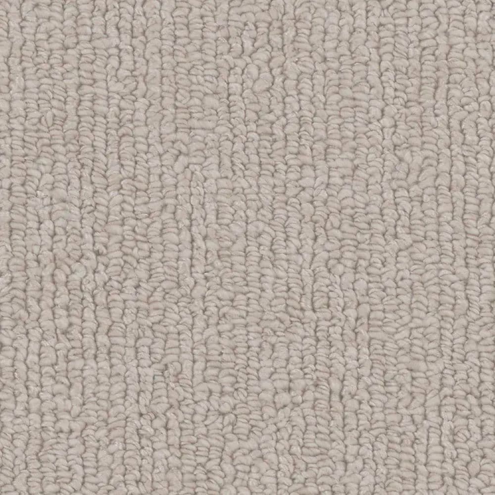 STAINMASTER S9546-30012-S (Sample) Belfair Brown 46-oz sq yard Polyester Textured Indoor Carpet