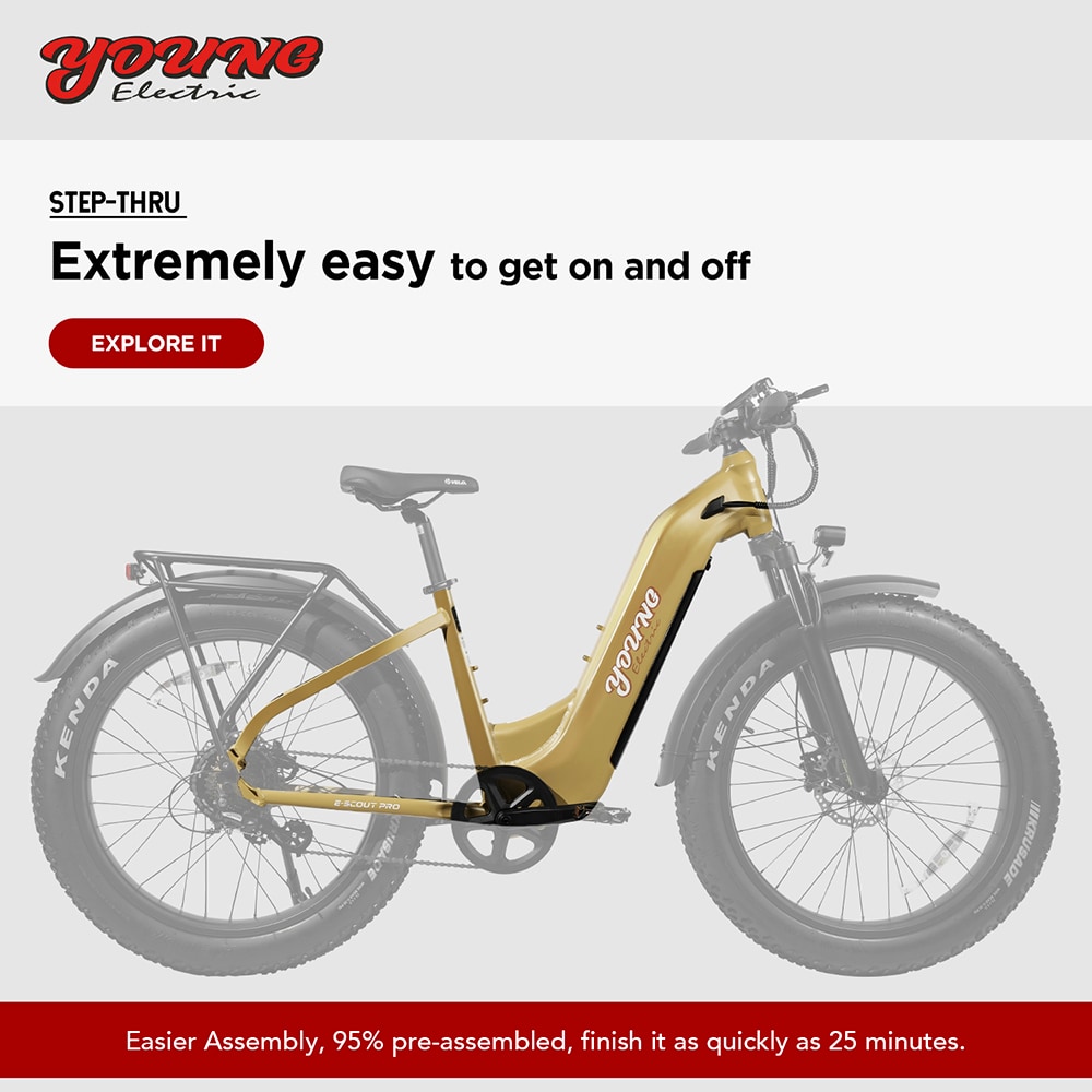 Young Electric 12803024YL bikes - View #5