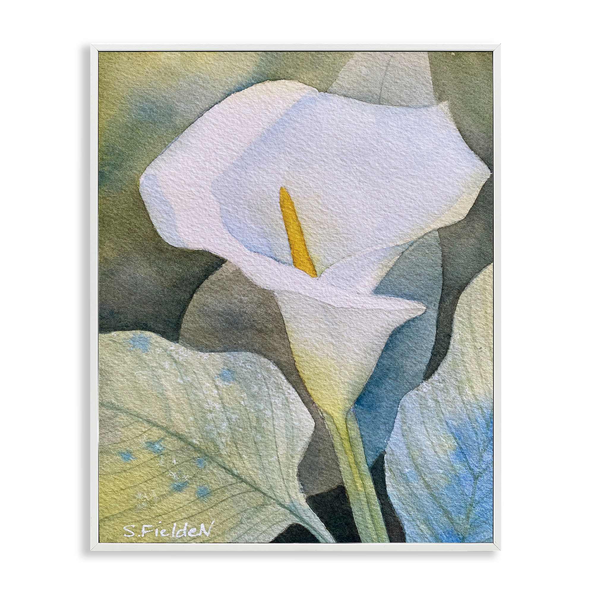 Stupell Industries BS-587-WFR-11X14 Garden Calla Lily Bloom White Framed Giclee Art By Stephanie Fielden 11 x 14