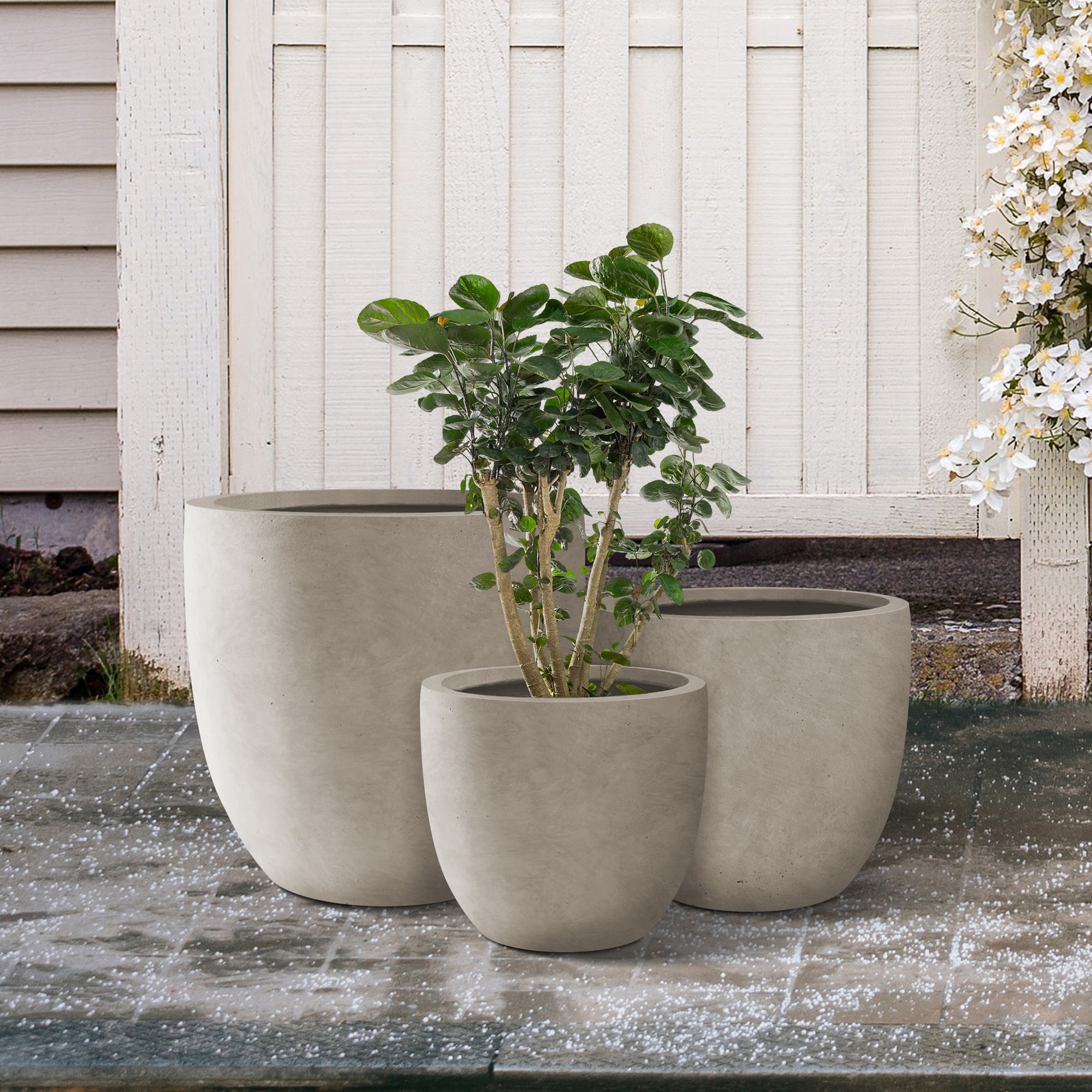 KANTE RC0152BCD-C80021-2 Planter-Window-Box - View #5