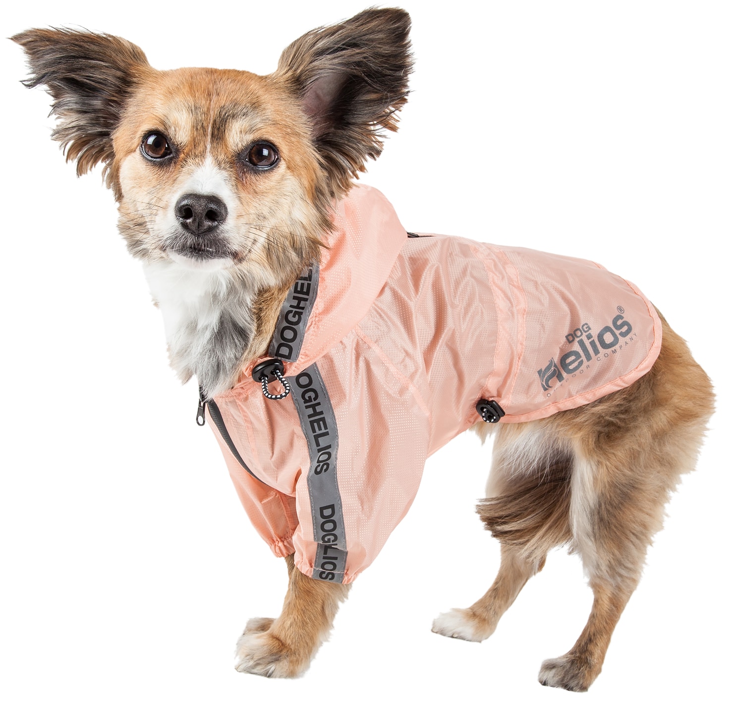  TOUCHDOG 'Snowadayz' Pom Pom Fashion Designer Pet Dog