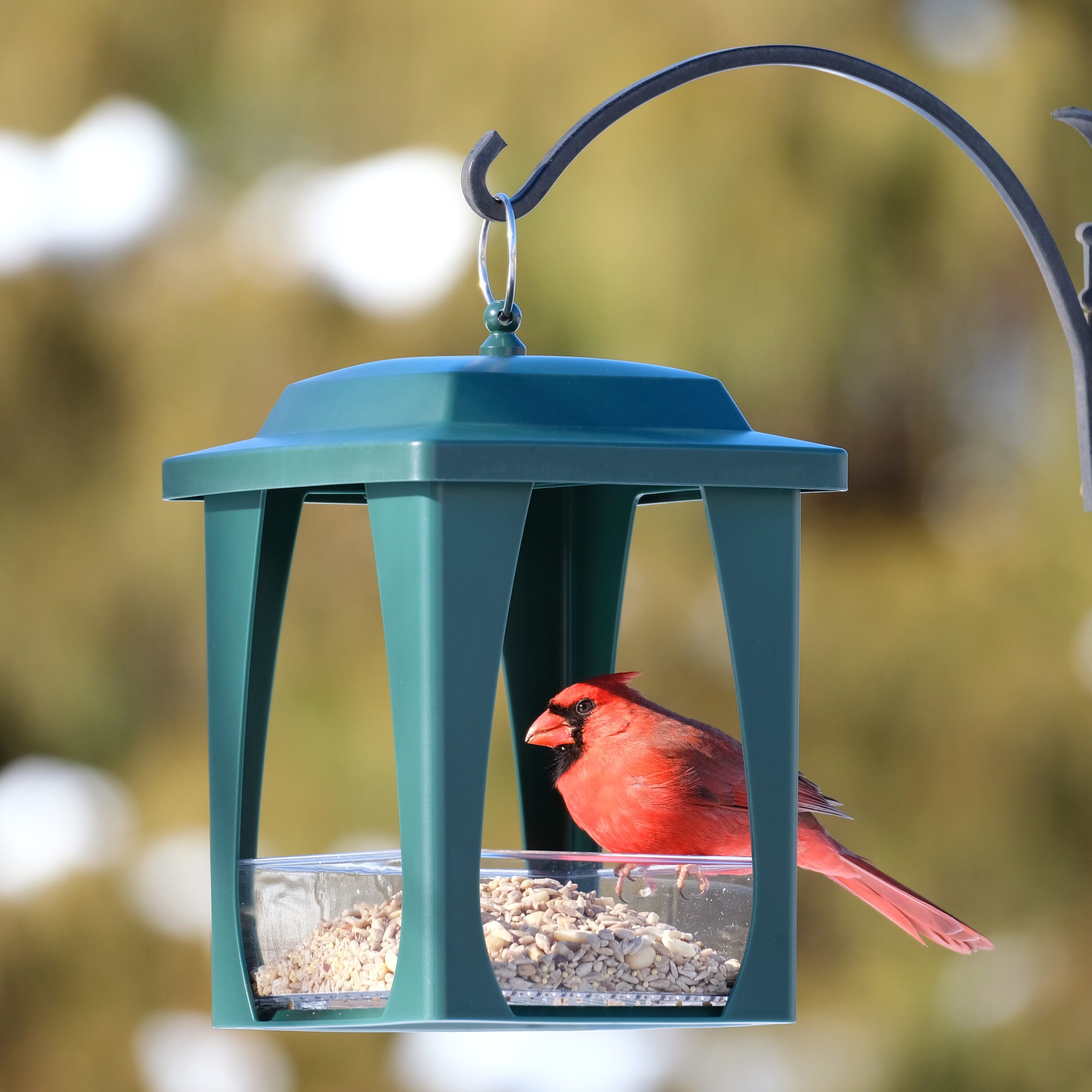 Style Selections FLY-3P-SS1 Bird-Feeders - View #13