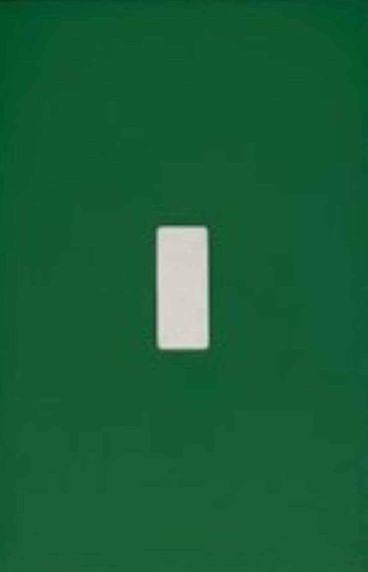 Switch Ups 100051 Insert 1 -Gang Jumbo Size Magnetic Green Polyresin Indoor Toggle Wall Plate