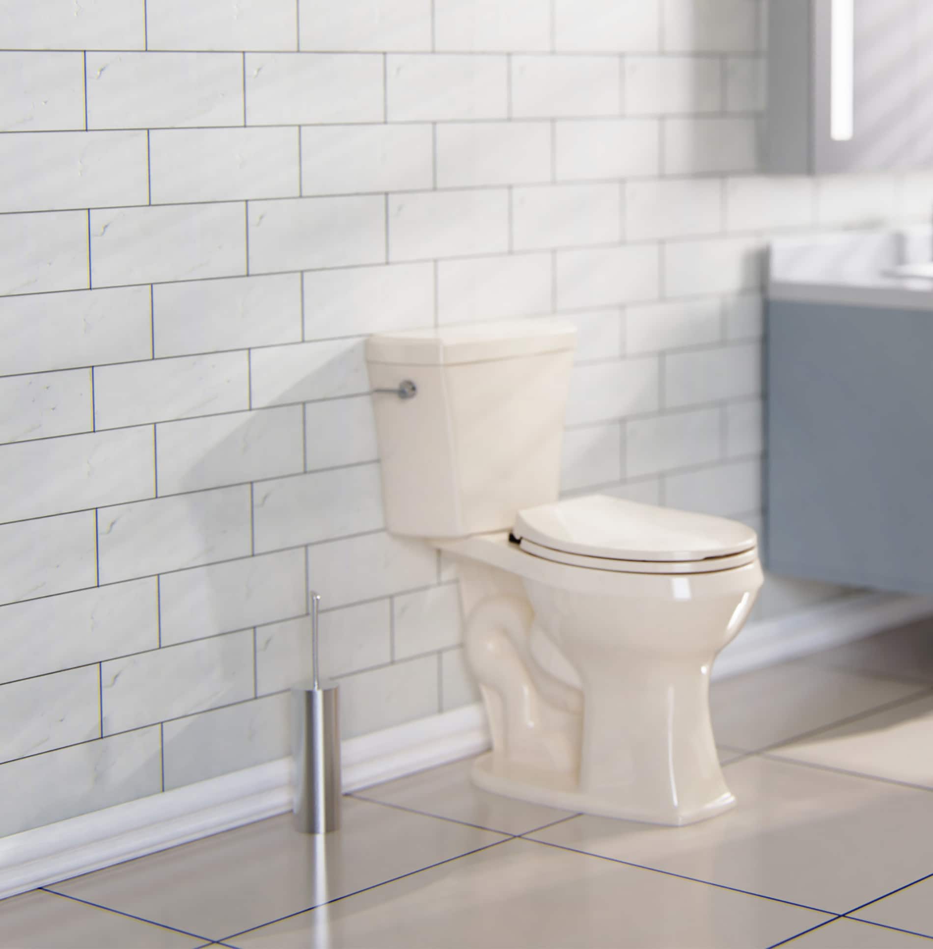 Project Source MT-20202RG toilets - View #10