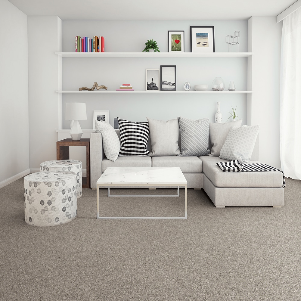 STAINMASTER PetProtect SS021-12-L007 Carpet-Panel - View #2