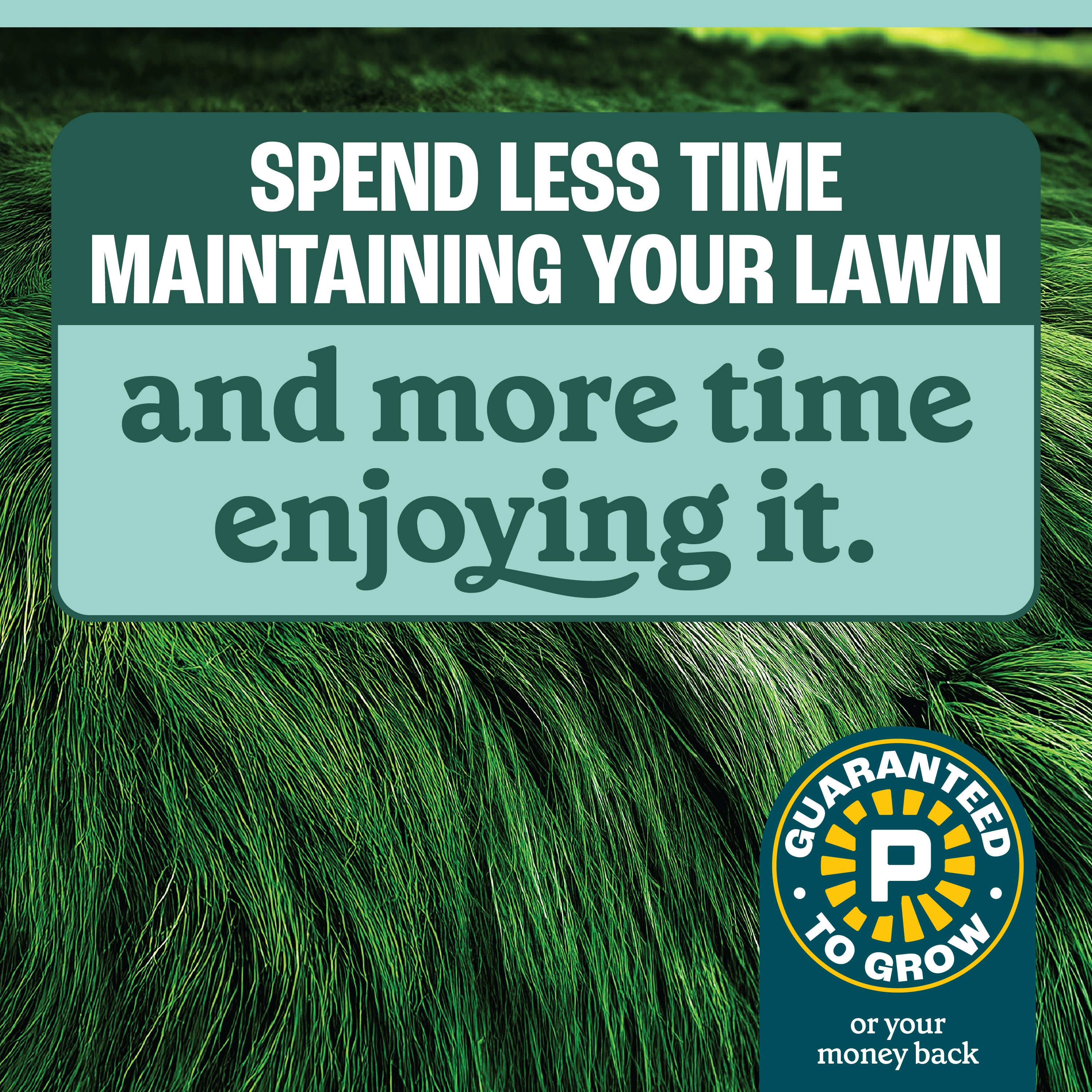 Pennington 100552346 Grass-Seed - View #5