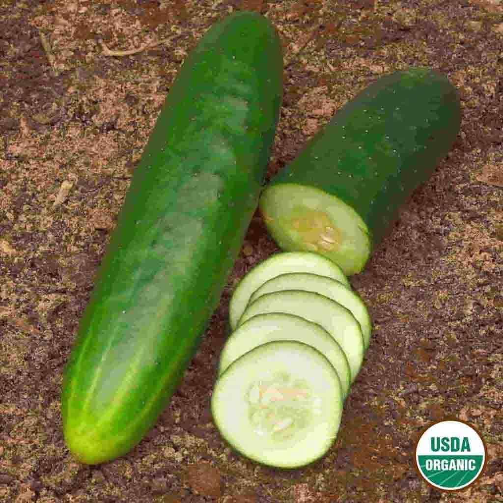 Ferry-Morse LC25.1520 Vegetable-Herb-Seeds - View #3